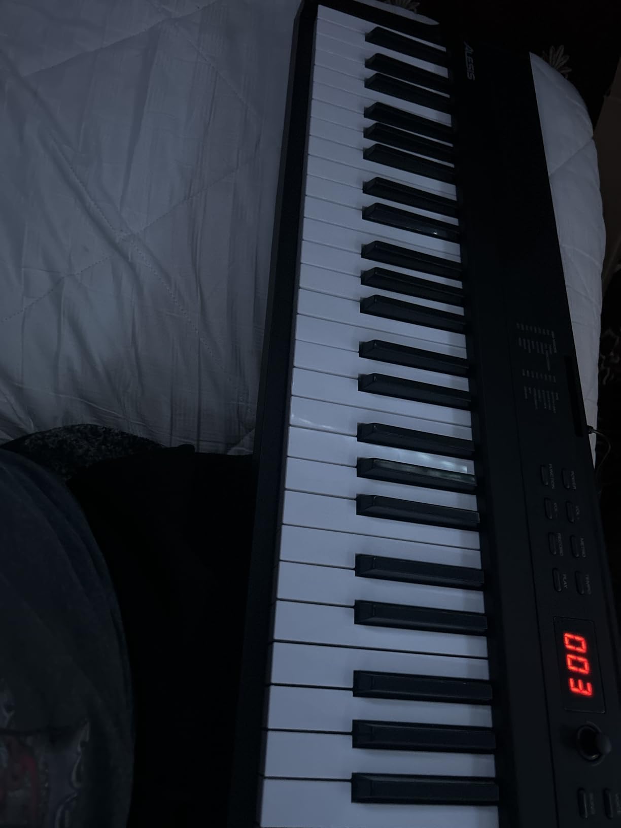Alesis Recital Play 88-Key Piano Keyboard Bundle | Portable, 480 Voices, Split/Layer Modes, Includes Lessons, Stand, Sustain Pedal, Headphones, Carry Bag, for Beginners customer photo 1