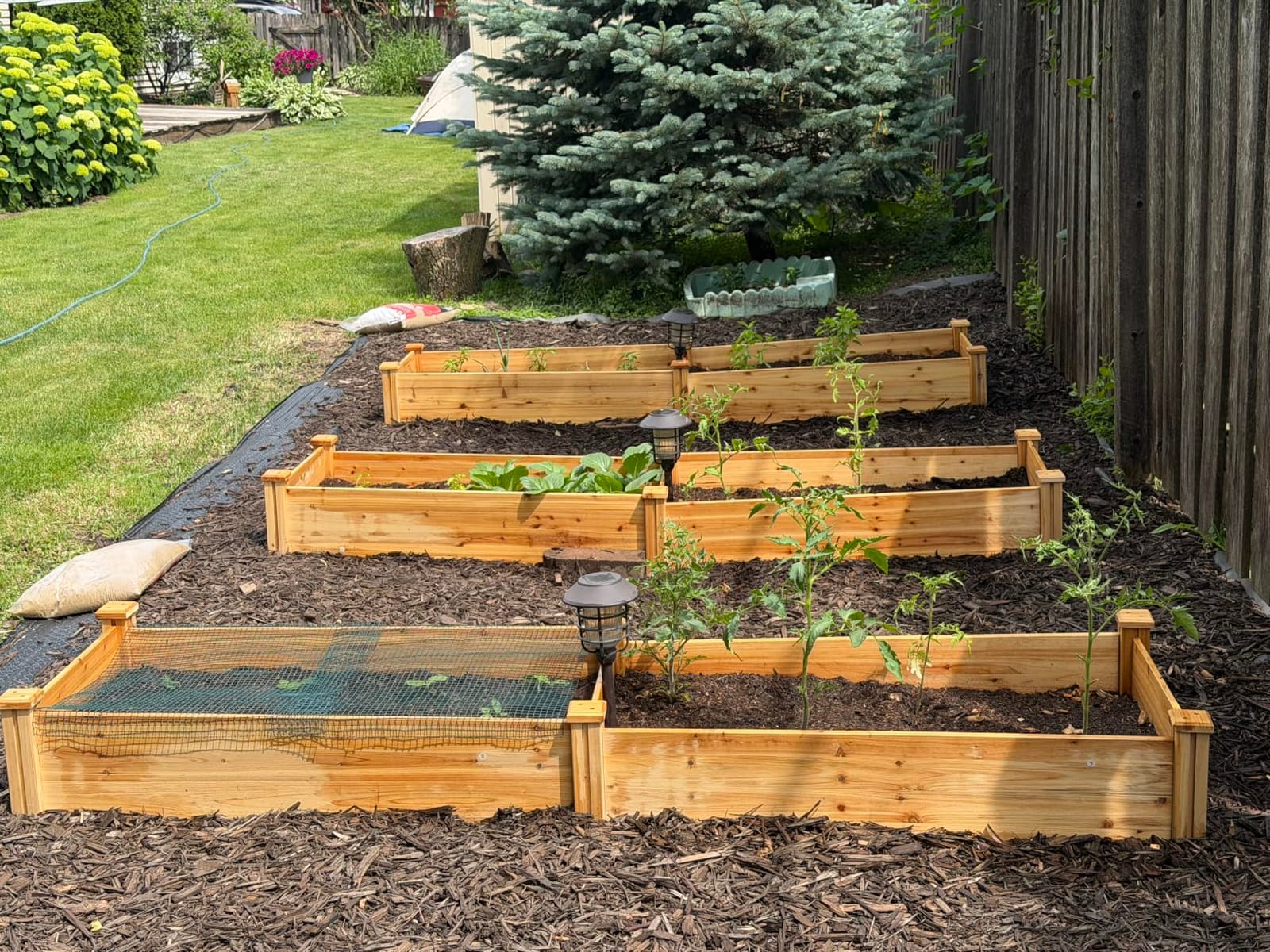 Yaheetech Raised Garden Bed Planter Box for Vegetables Growing, Dark Brown | Fir wood raised bed offers easy assembly, and a practical space for growing vegetables, herbs, and garden plants. customer photo 1