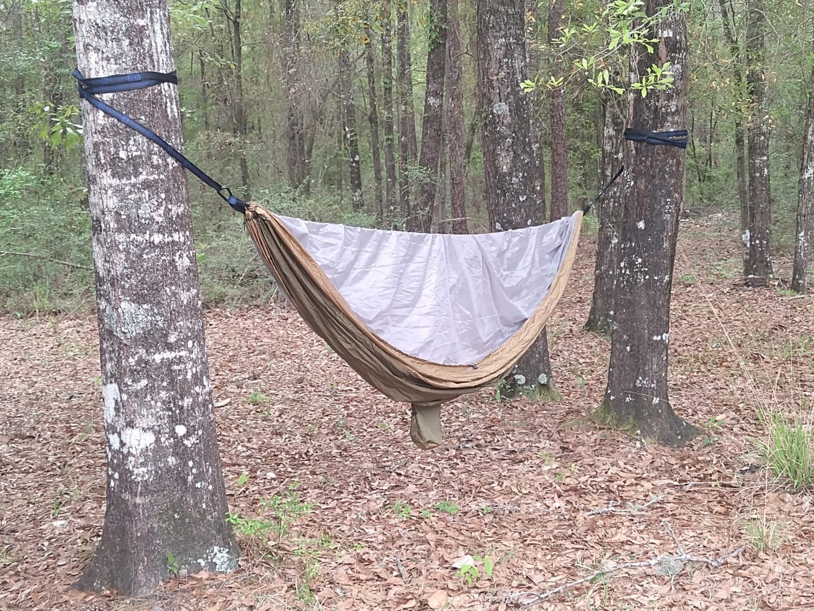 Camping Hammock, Portable Hammocks with Mosquito Net,Lightweight Nylon Parachute Hammock with 10ft Tree Straps,Camping Gear Must Haves for Travel Hiking Backpacking Beach Patio-Green&Khaki customer photo 1