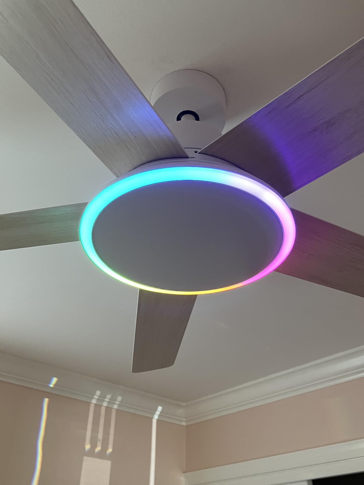 DREO Smart Ceiling Fan with Lights, 52 Inch, 12 Speeds & 3 Fan Modes, Stepless, Dimmable LED Light, Timer, 22dB Quiet DC Motor, Remote/APP/Alexa Control, Black Ceiling Fans Indoor, 2026 Upgraded customer photo 2