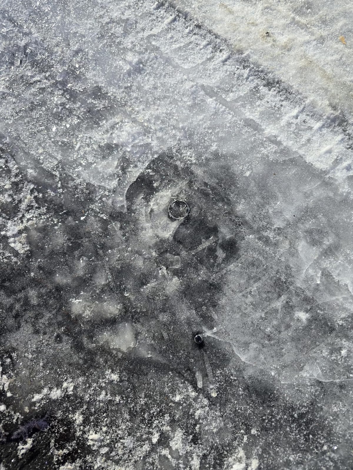 GoGonova Metal Detector for Adults & Kids | Kids Metal Detector, Waterproof Metal Detectors with High Accuracy Lightweight 8
