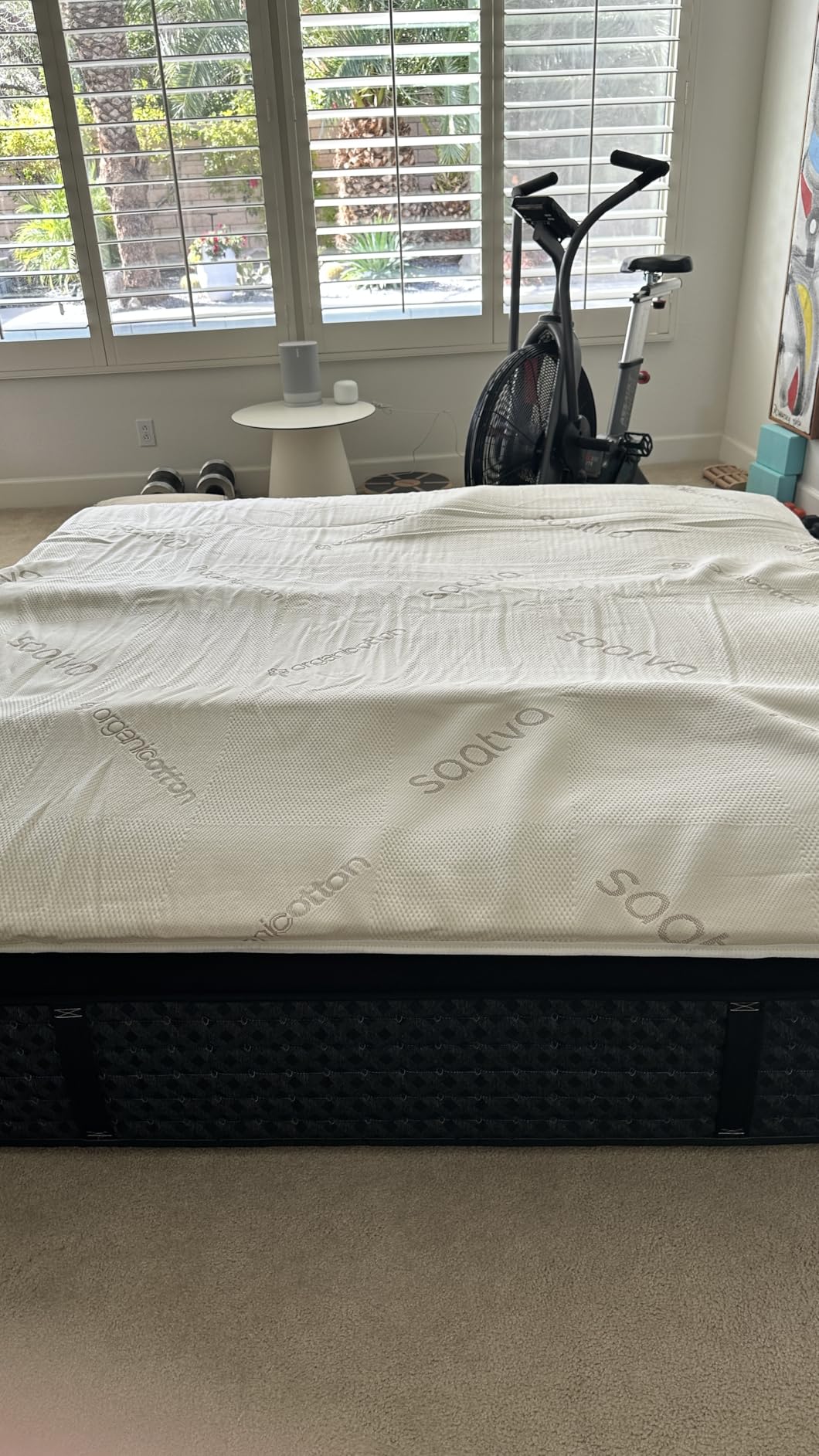 Saatva Natural Latex Premium Mattress Topper, 1.5 Inch Hypoallergenic Foam - Made with Natural Latex Foam, Breathable Comfort and Durable, Responsive Support, Queen Size customer photo 1
