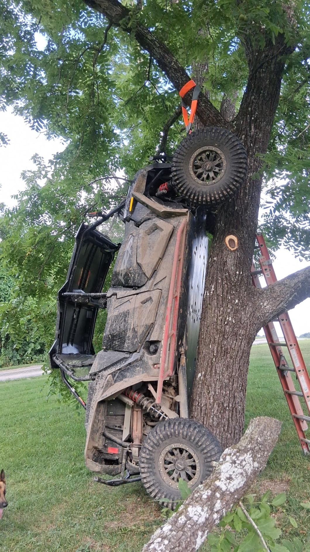 Rough Country 4,500 LB UTV/ATV Winch - ProSeries customer photo 1