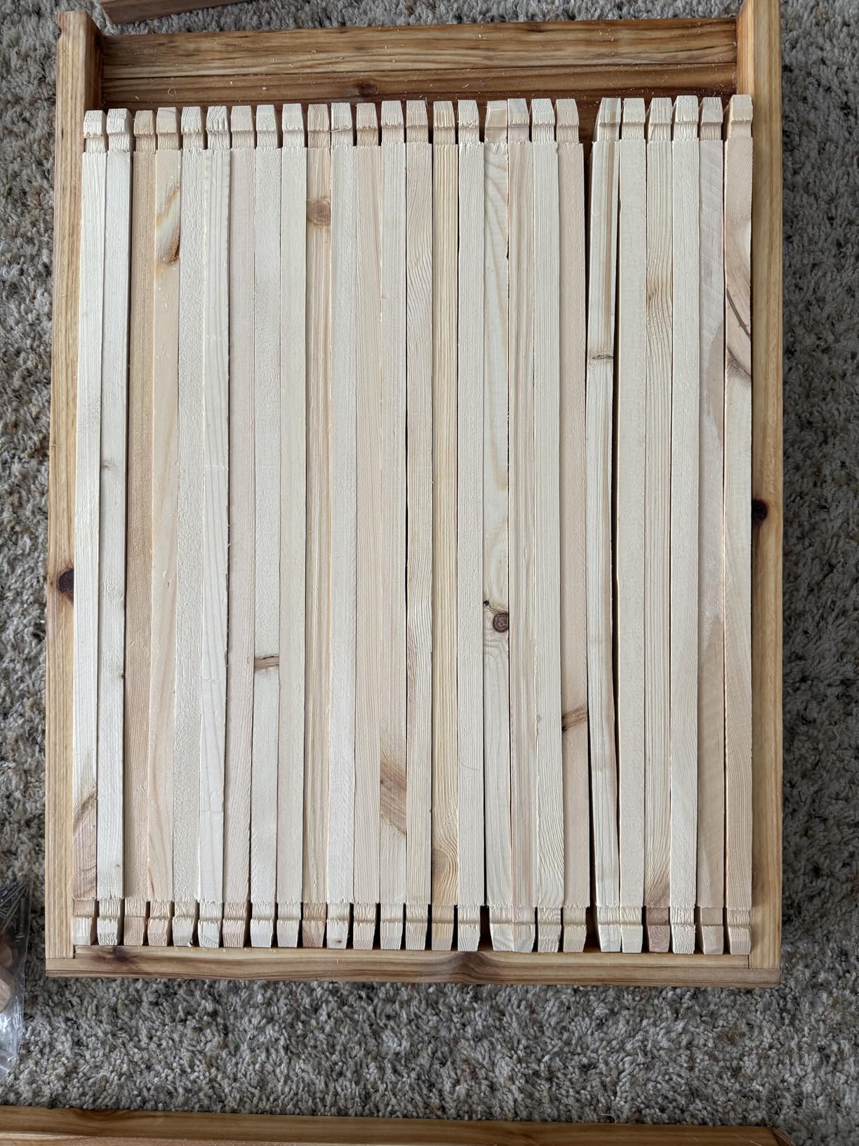 10 Frame Bee Hive, Beeswax Coated Fir Wood, Bee Hives Starter Kit, 2 Deep + 2 Medium Bee Boxes Langstroth Beehive Kit, Transparent Acrylic Windows with Foundations for Beginners Pro Beekeepers customer photo 2