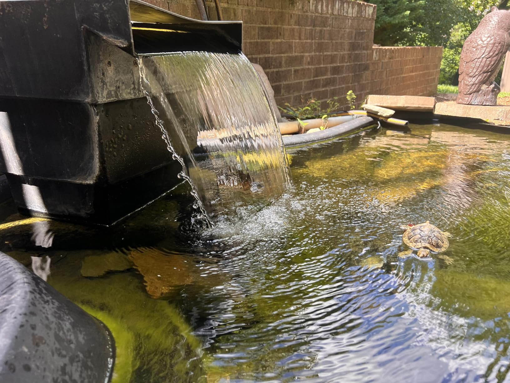 TONGCHANT 1800 GPH Pond Pump for Fish Pond Fountain & Waterfall, 14FT Lift | 100W Submersible Water Pump with 180° Rotatable Nozzle, Filter Bag & 20FT Cord, Ultra-Quiet Operation, UL listed customer photo 1