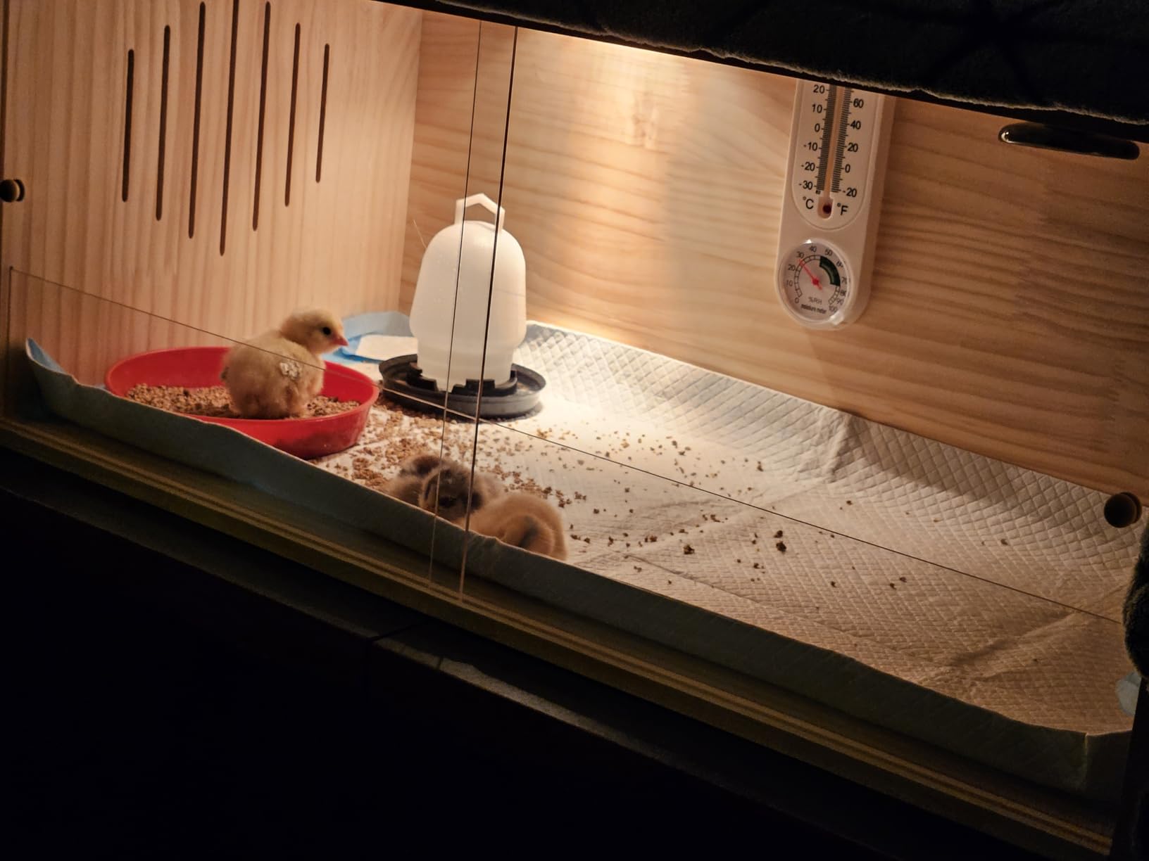 Large Wooden Chicken Brooder Box with Bulb Set and Thermometer - Brooder Box for Chicks Indoor Accommodates Up to 12 Chicks - Ideal for Chickens, Ducks, Quails, Hamsters, and Lizards（32x16x16 Inches） customer photo 2