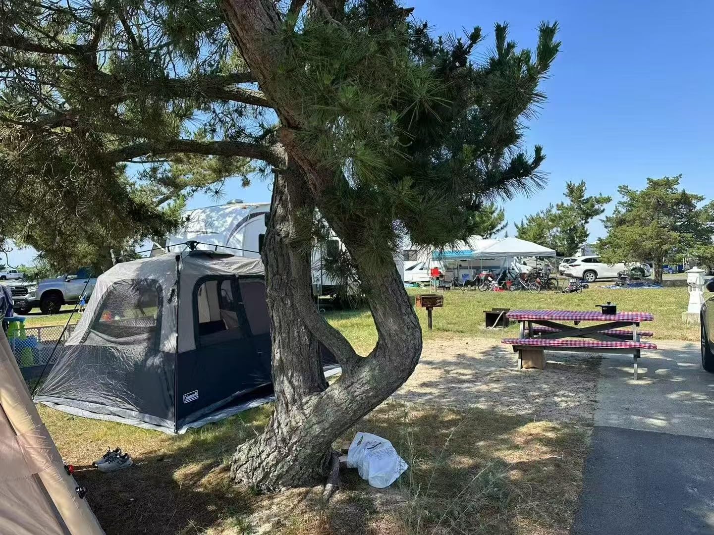 Coleman 4/6/8/10 Person Instant Camping Tent with 1-Minute Setup, Large Family Tent with Pre-Attached Poles, Air Vent, & Carry Bag, Sets Up in About 60 Seconds customer photo 1