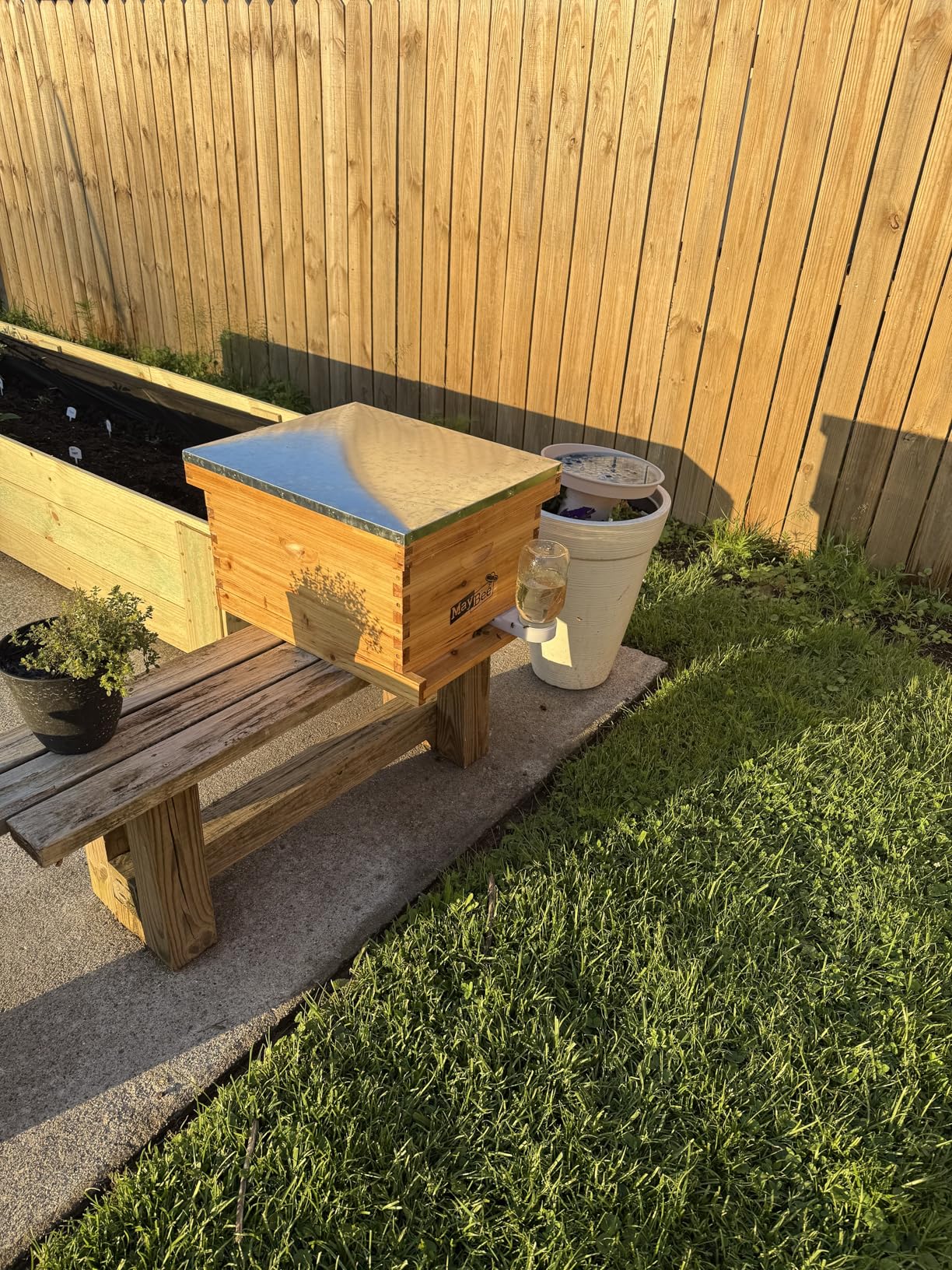 MayBee 8-Frame Beehive Starter Kit, Bee Hive Kit Dipped in 100% Beeswax, Bee Hives Boxes Starter Kit Includes Beekeeping Supplies Tool Kit and Bee Suit customer photo 2