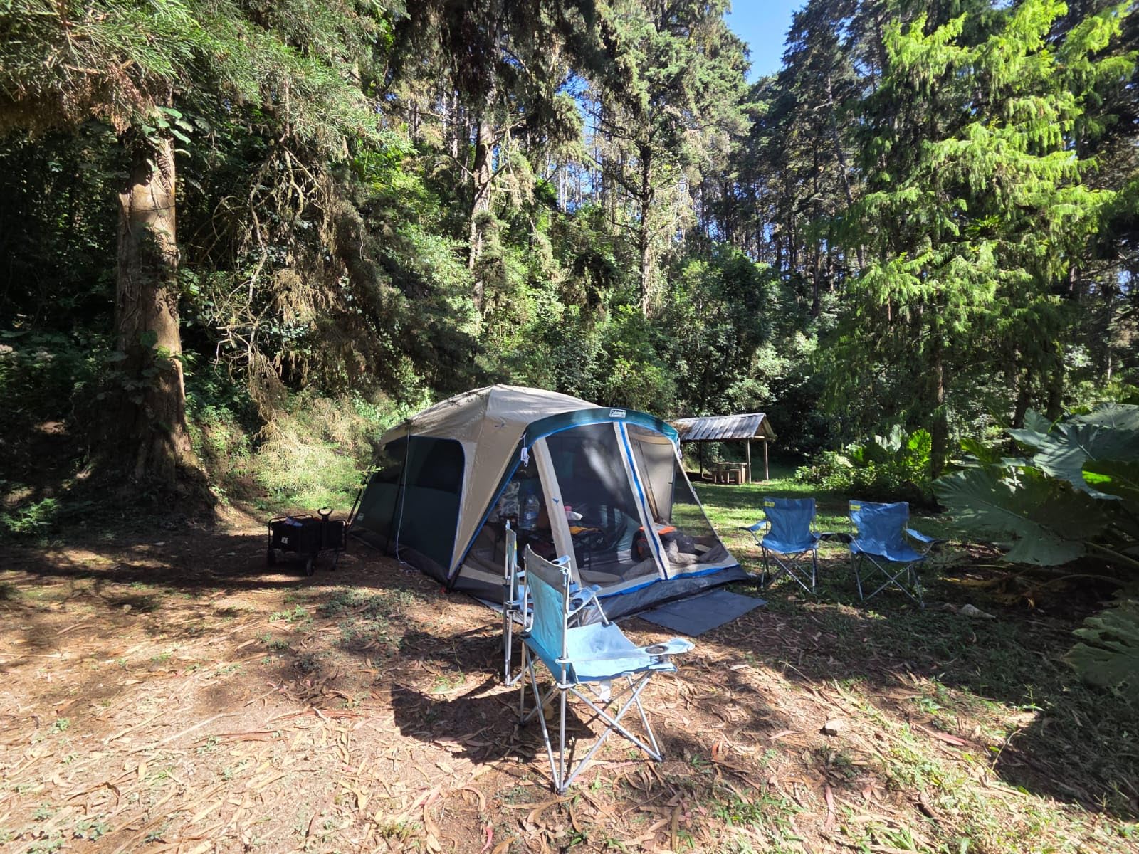 Coleman Skylodge Camping Tent with Rainfly & Screened Porch, XL Weatherproof Family Tent Fits 4 Queen-Sized Airbeds, Color-Coded Poles & Sleeves, Made of PFAS-Free Materials customer photo 1