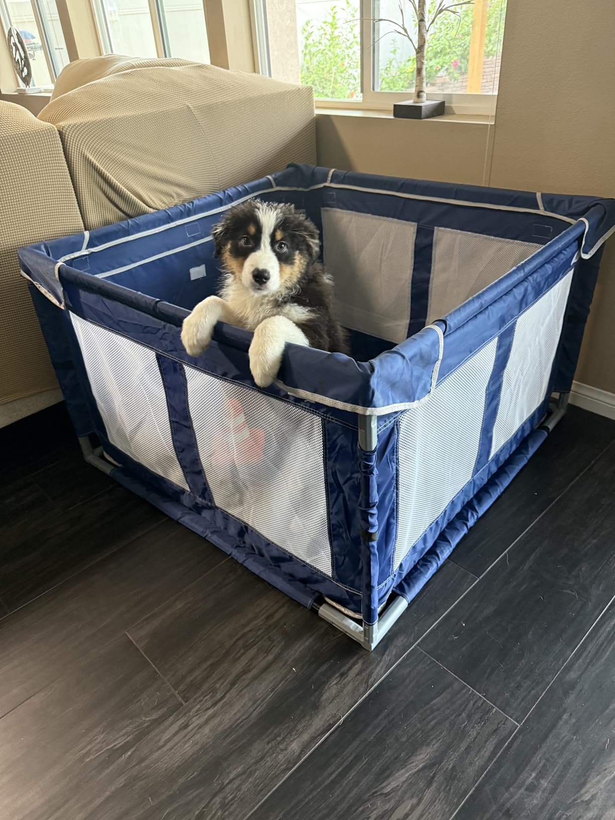 Puppy Playpen Indoor for Dog Small Pets, Dog Playpen 42x42x25 Inch, Dog Play Pen with Gate for Outdoor and Indoor, Oxford Fabric Pet Playpen for Puppy, Anti-Tipping Dog Enclosure with Zipper Door customer photo 2