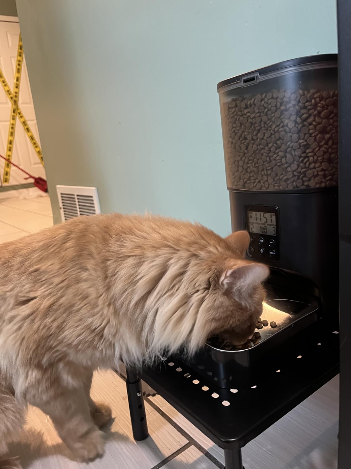 ANDOLL HOME Automatic Cat Feeder, 4L Cat Food Dispenser with 10s Voice Recorder, Pet Feeder up to 8 Meals per Day, Timed Dog Feeder with Dry Food Sealed Ring customer photo 2