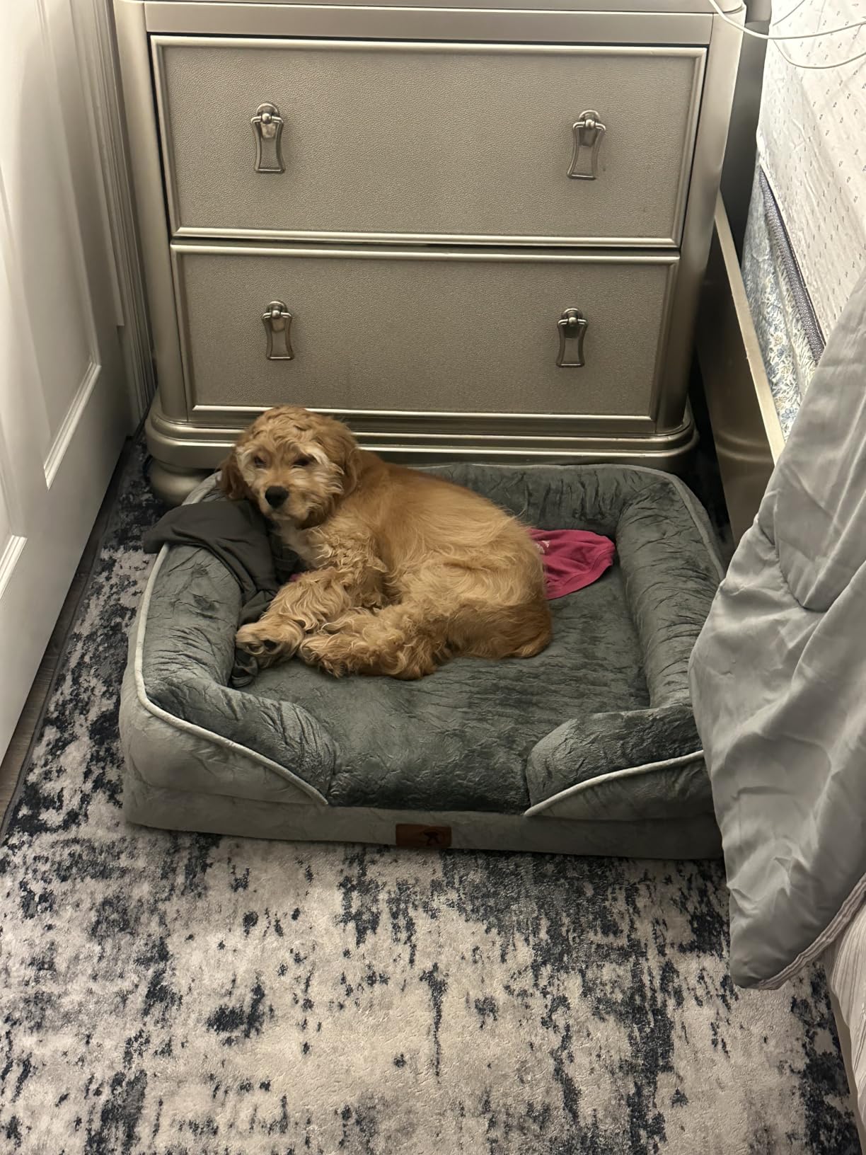 Spotted Play Orthopedic Dog Bed with Sides - Dog Sofa Beds for Medium Dogs, Supportive Foam Pet Couch Bed with Washable Removable Cover, Waterproof Lining and Non-Slip Bottom, Grey - M customer photo 1