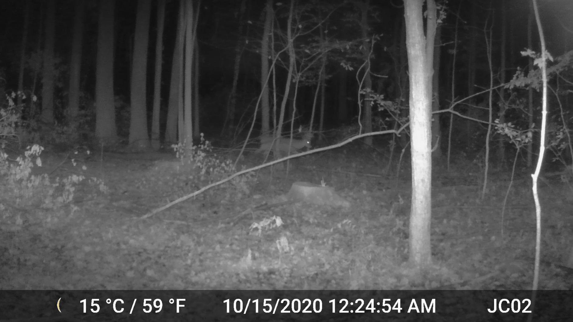 GardePro A3S 2-Pack Trail Camera (Non-Cellular, Non-WiFi), Enhanced Low-Light Performance, 64MP Photo & 1296P HD Video, 0.1s Trigger, 100ft No-Glow Night Vision, Motion Activated Wildlife Camera customer photo 2