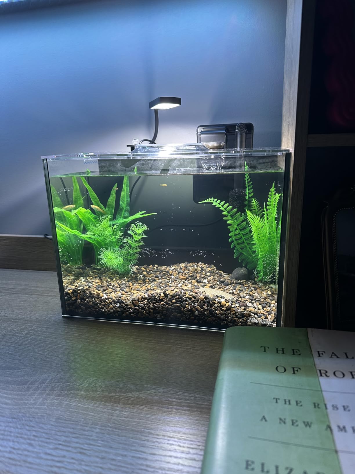 NICREW 2.5 Gallon Nano Nature Aquarium Kit, Ultra-Clear Rimless Desktop Fish Tank with Light and Filter, Perfect for Small Fish, Shrimp, or Betta, Basic Version, Black customer photo 2