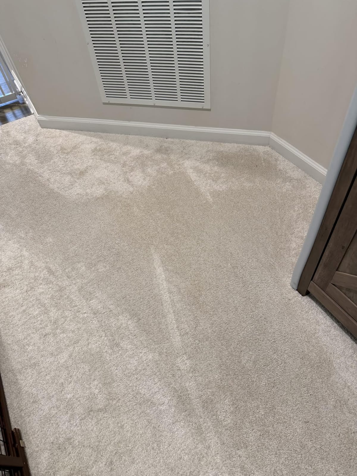 BISSELL Revolution HydroSteam Carpet Cleaner, 4123 | HydroSteam technology; 4-in. self-cleaning tough stain tool; formulas included; upright deep cleaner customer photo 1