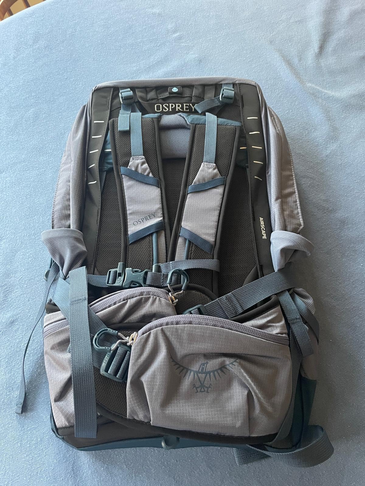 Osprey Tempest 22L Women's Lightweight Hiking Backpack - Small Daypack for Travel & Camping, Frosty Mint Green/Botanica customer photo 2