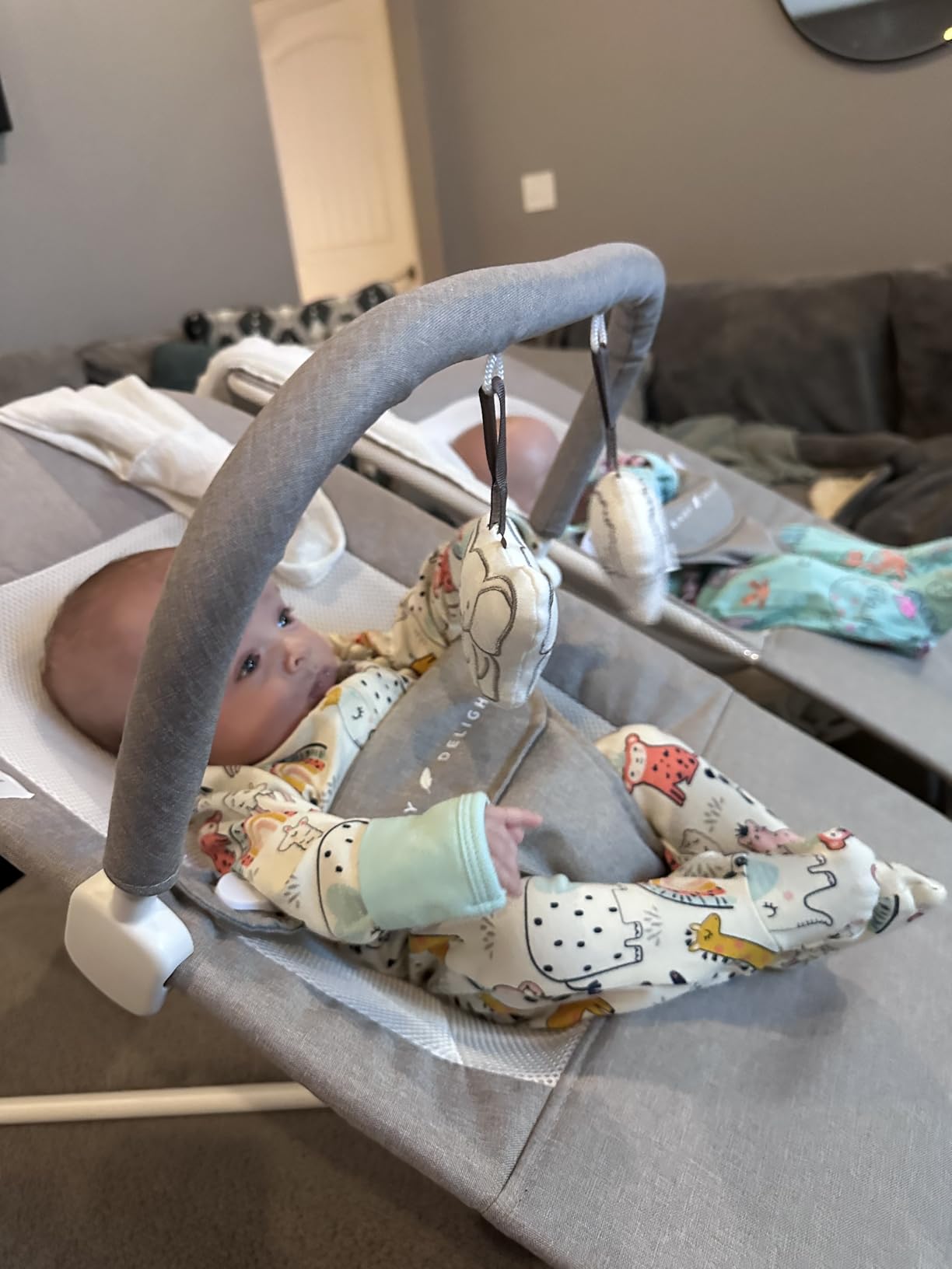 Baby Delight Highland Baby Bouncer, Sage Tweed | For Infants 0 - 6 Months, 3-Position Recline, Adjustable 3-Point Harness, Secure Locking Mechanism, Folds Flat customer photo 2