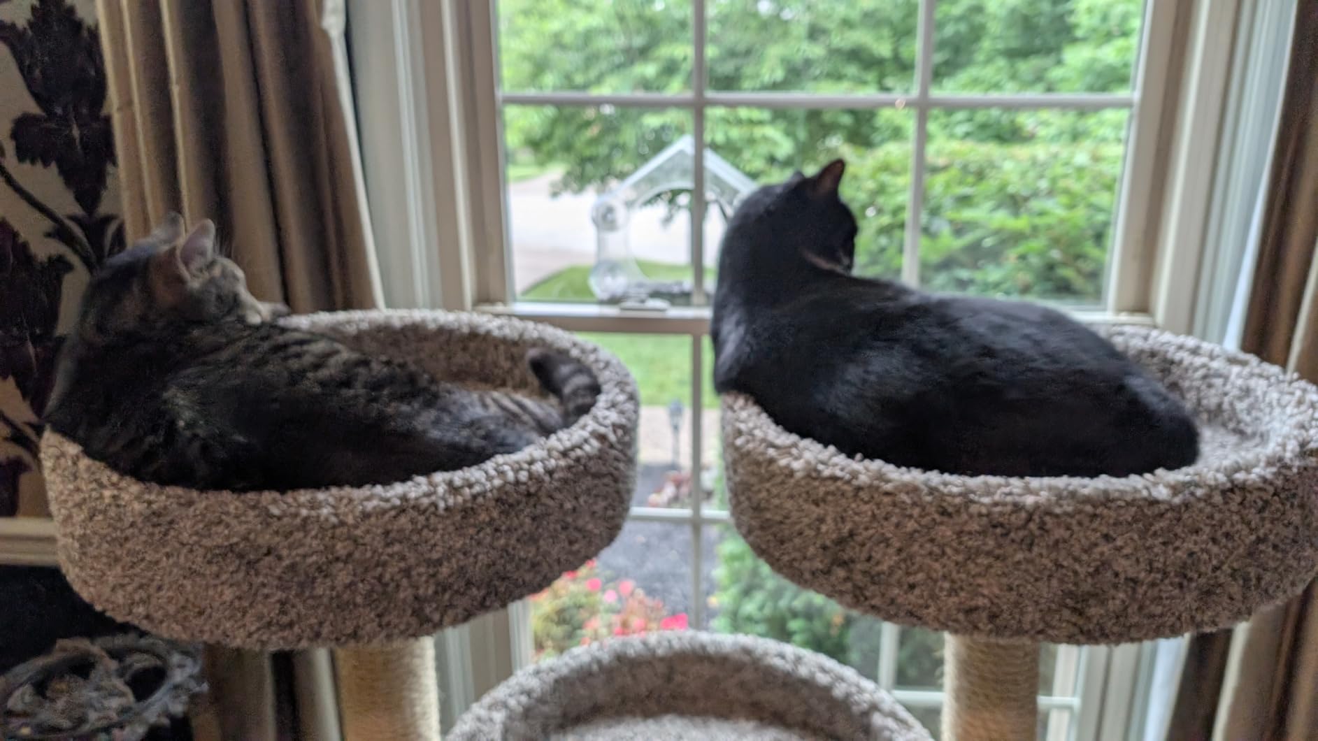 Prestige Cat Trees 46