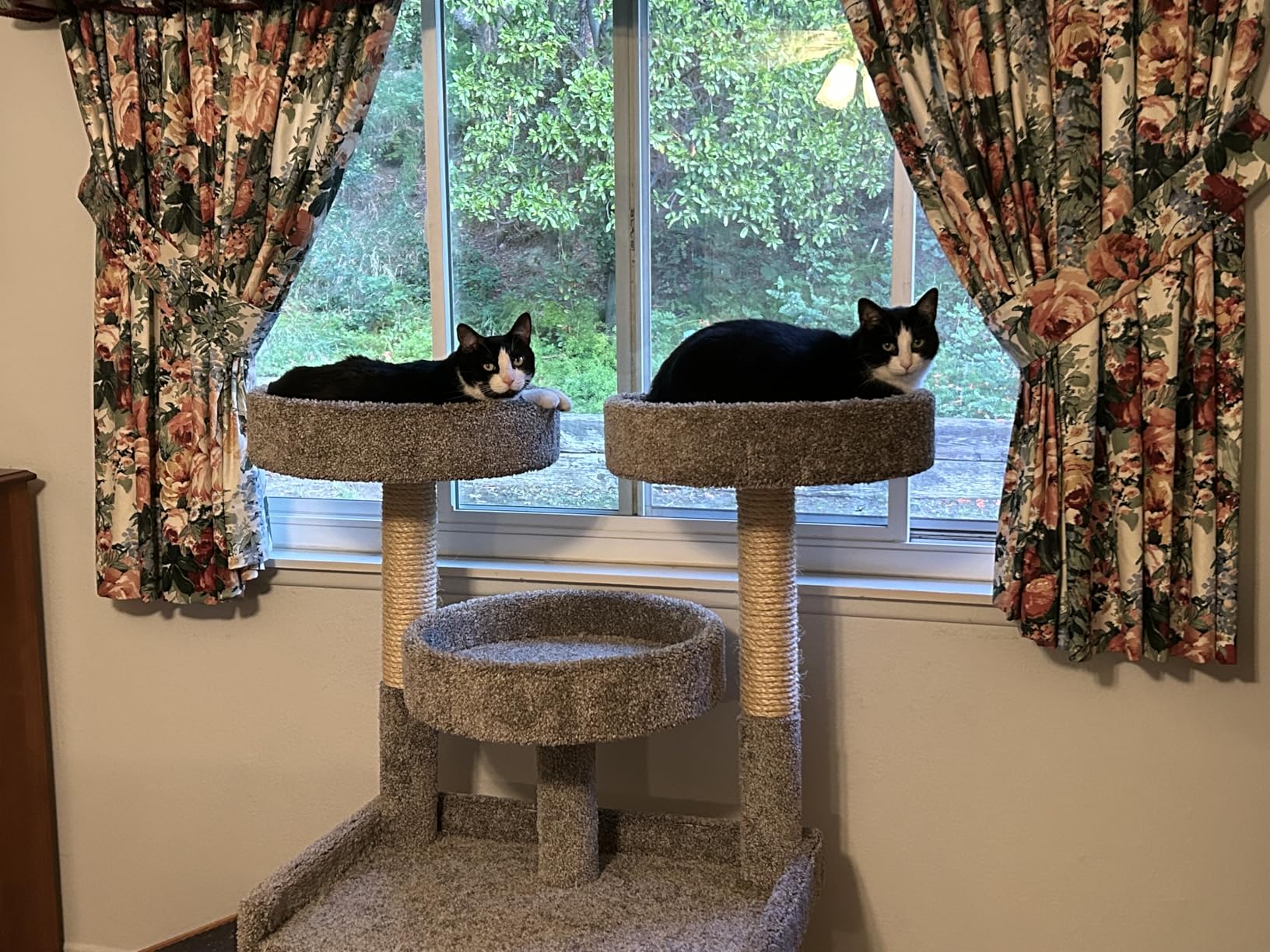 Prestige Cat Trees 46