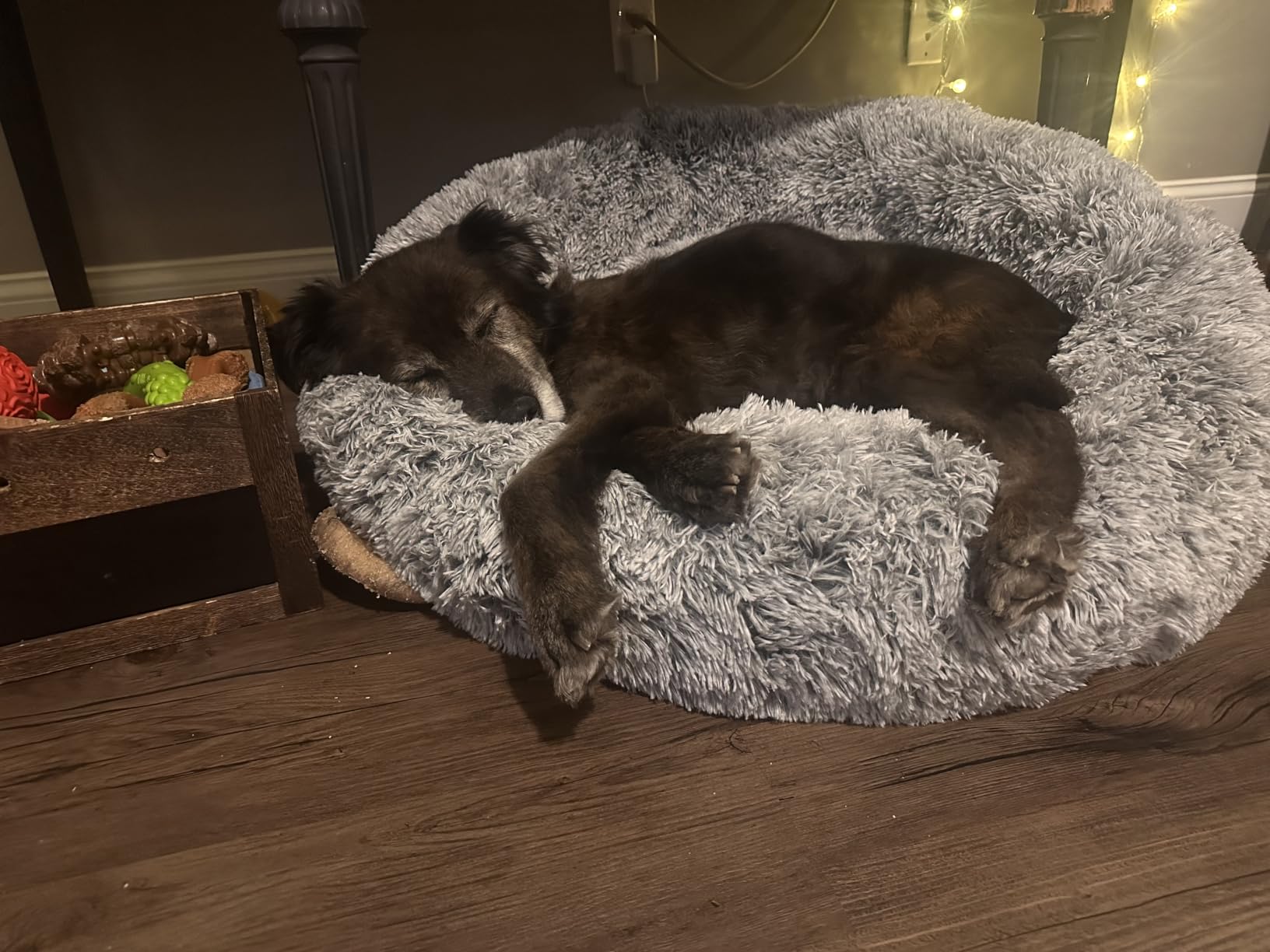 36 inches Faux Fur Fluffy Donut Dog Bed for Large Dogs, Dark Grey customer photo 1
