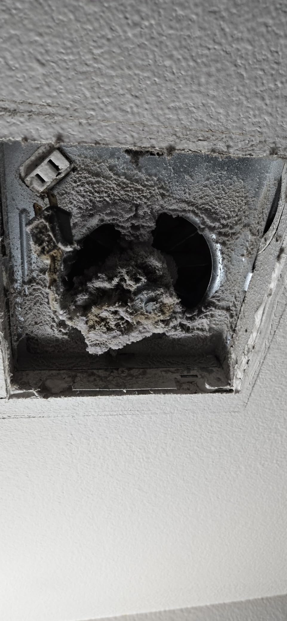 Broan-NuTone Bathroom Exhaust Fan, 50 CFM Modern Grille, Energy Star Fan, 2.0 Sones customer photo 1