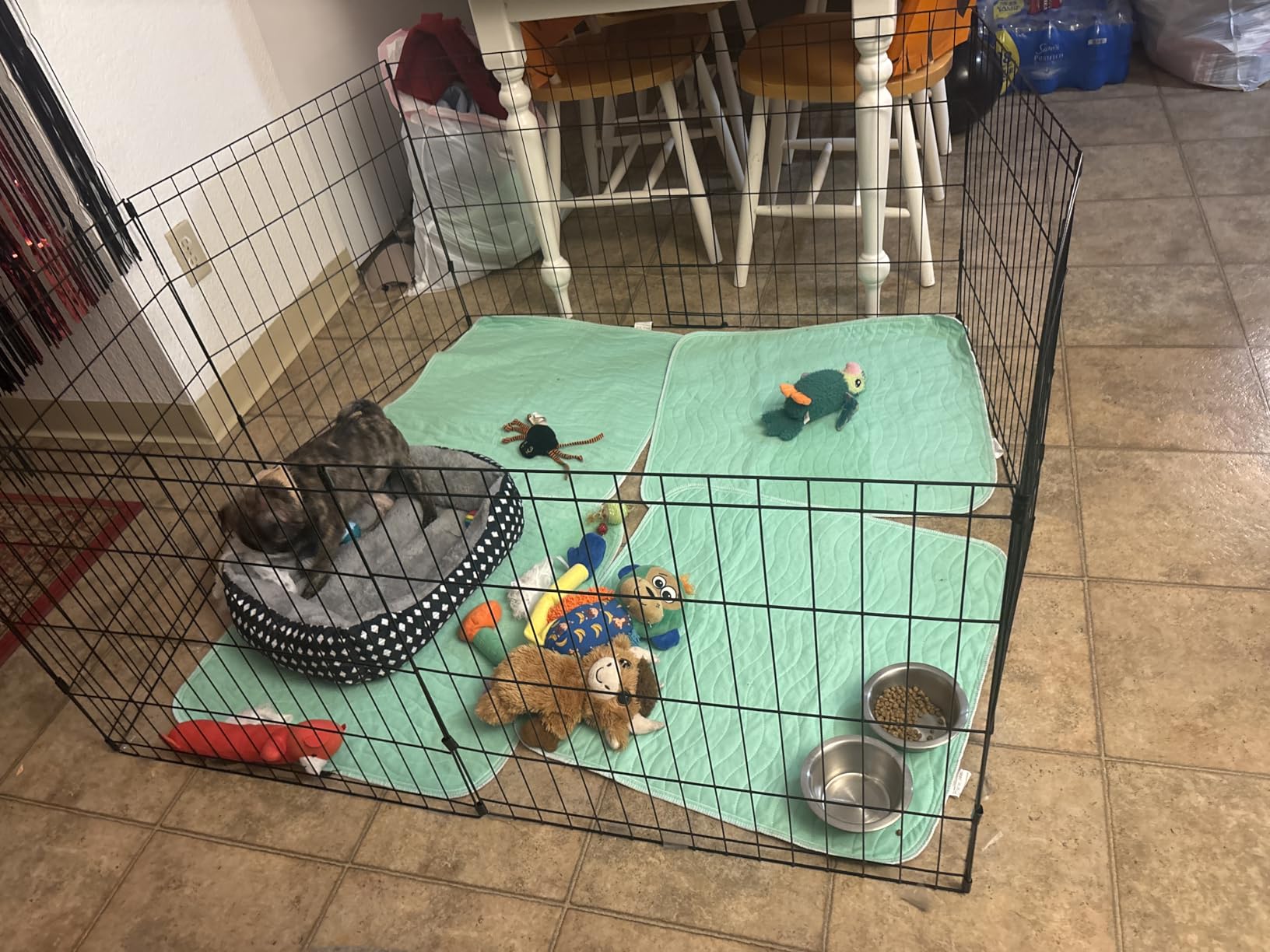 FDW Dog Playpen | 24, 8 Panels | Heavy Duty Metal Pet Exercise Pen | Indoor/Outdoor Fence Panels | Rust-Resistant, Removable, Tool-Free Setup | Custom Layout, Anti-Skid, Expandable Design customer photo 2