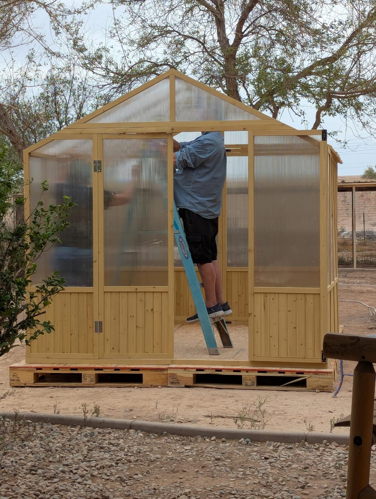 Jocisland 8 x 9.5-Ft Wooden Greenhouse | Walk-In Cedar Frame, Lockable Door, 2 Adjustable Roof Vents, Polycarbonate Panels, for Outdoor Garden and Backyard customer photo 2