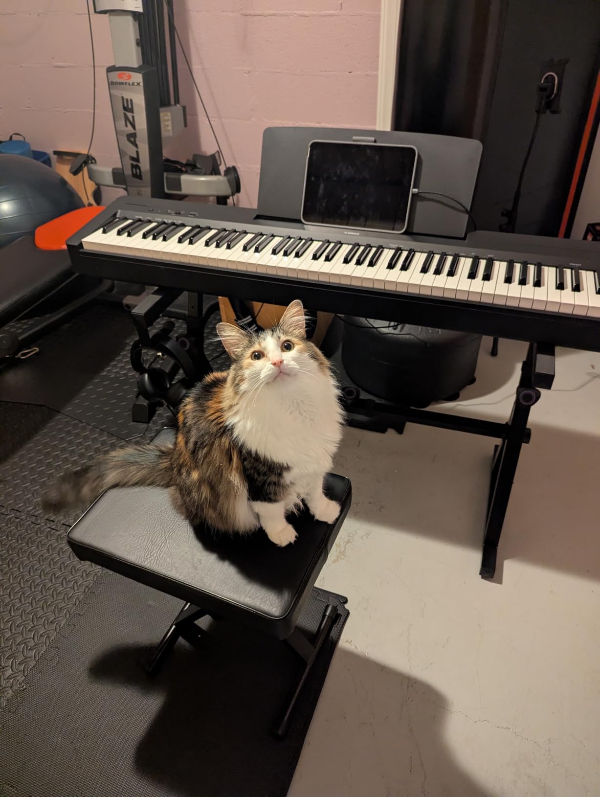 Yamaha 88-Key Digital Piano with Weighted Keys, Compact Design, Bluetooth, Keyboard, Music Rest, Sustain Foot Switch, and Built-in Speakers for Home Practice or Travel P145BT customer photo 1