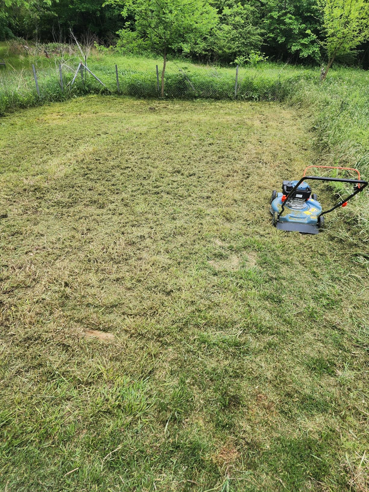 SENIX Gas Lawn Mower, 22