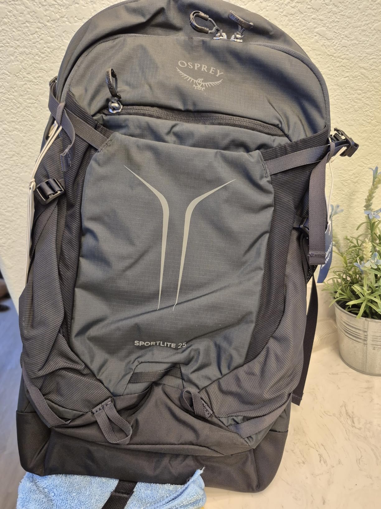 Osprey Sportlite 25L Lightweight Hiking Backpack for Men and Women, Pine Leaf Green, M/L customer photo 1