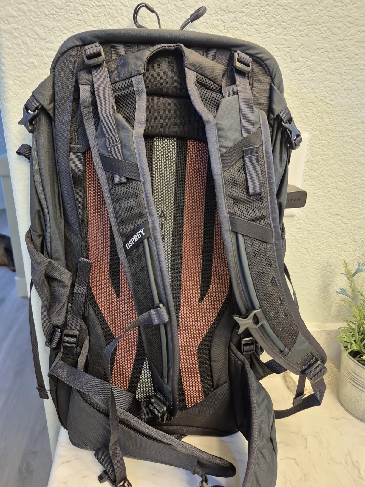 Osprey Sportlite 25L Lightweight Hiking Backpack for Men and Women, Pine Leaf Green, M/L customer photo 2
