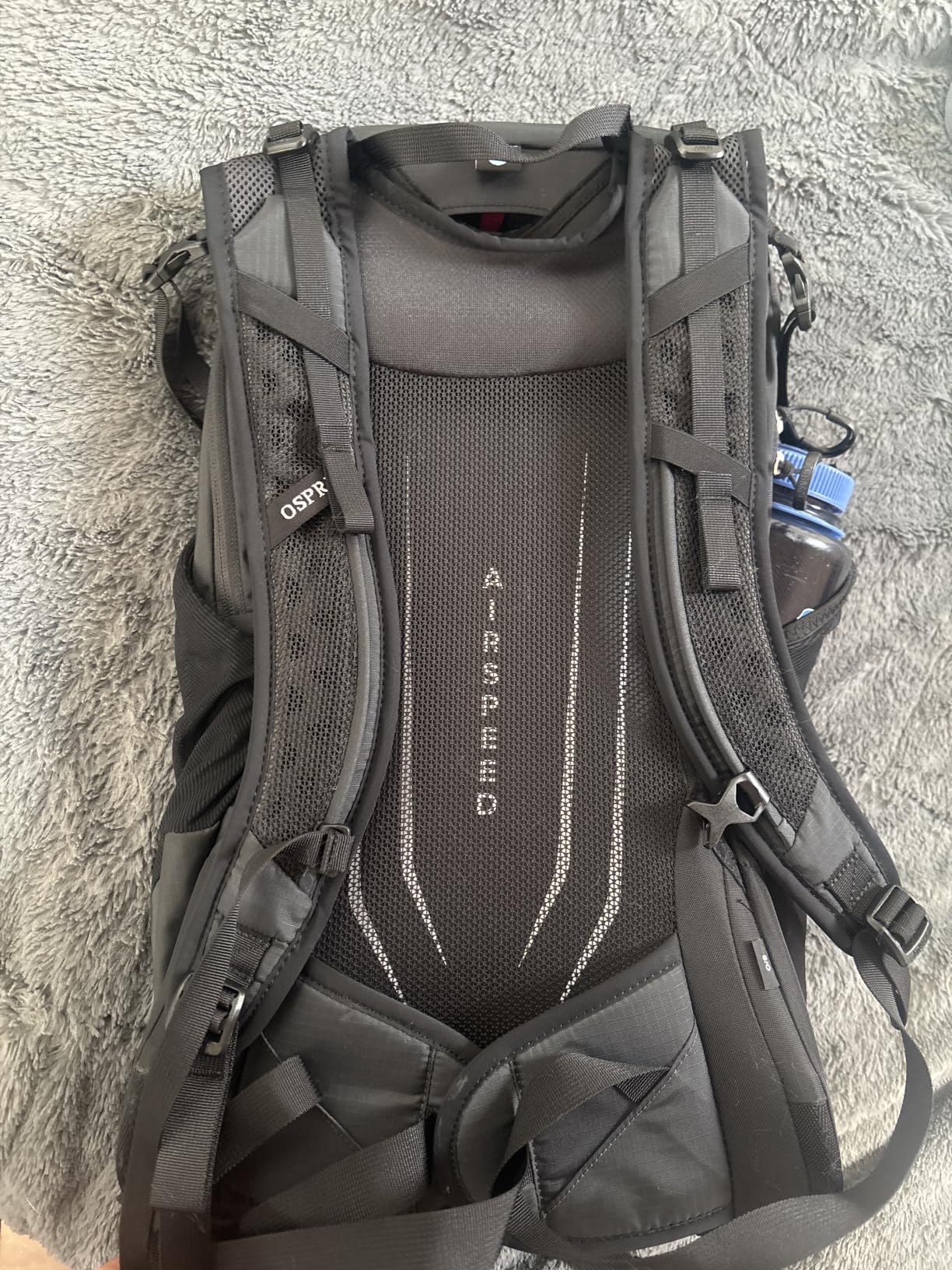 Osprey Hikelite 26L Durable Hiking Backpack - Travel Daypack with Rain Cover for Men and Women, Graphite Purple customer photo 2