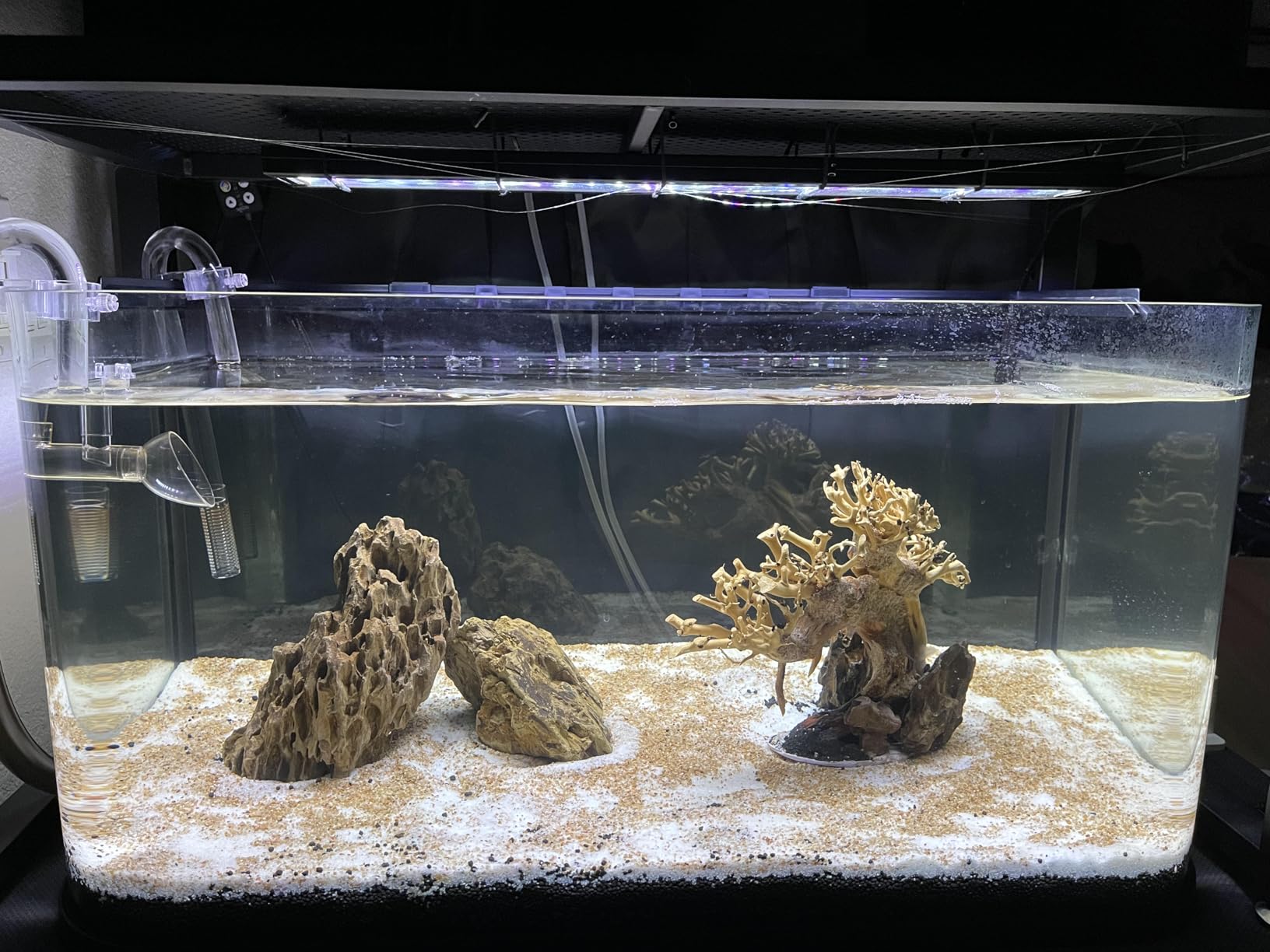 GloFish Glass Aquarium Kit, 20 Gallons, Includes Premium Blue, LED Light Stick & Integrated Filtration, Perfect for Beginners or Seasoned Hobbyists, Seamless, Curved Design customer photo 1
