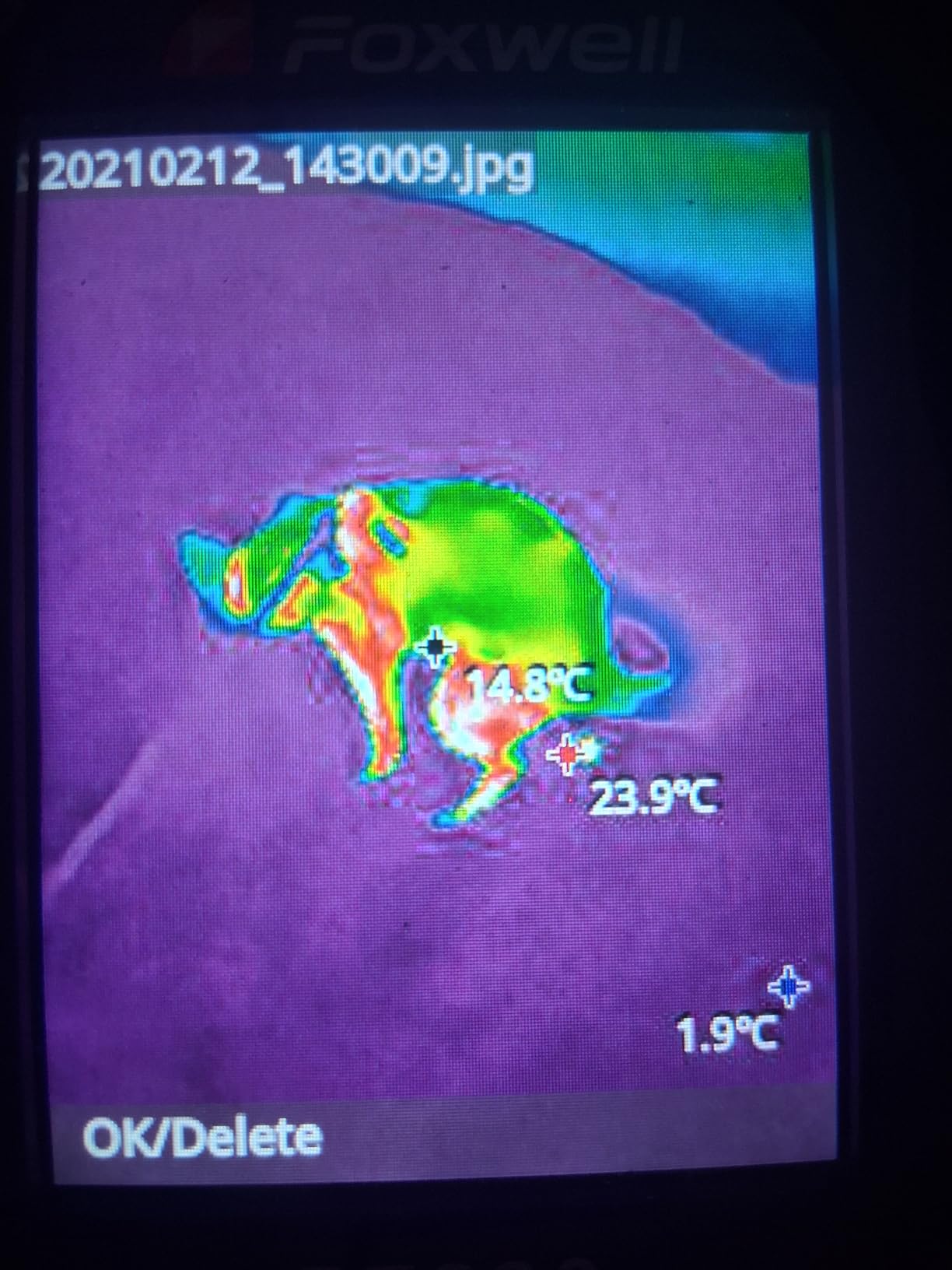 FOXWELL RT280 Thermal Imaging Camera, 320 x 240 2.8