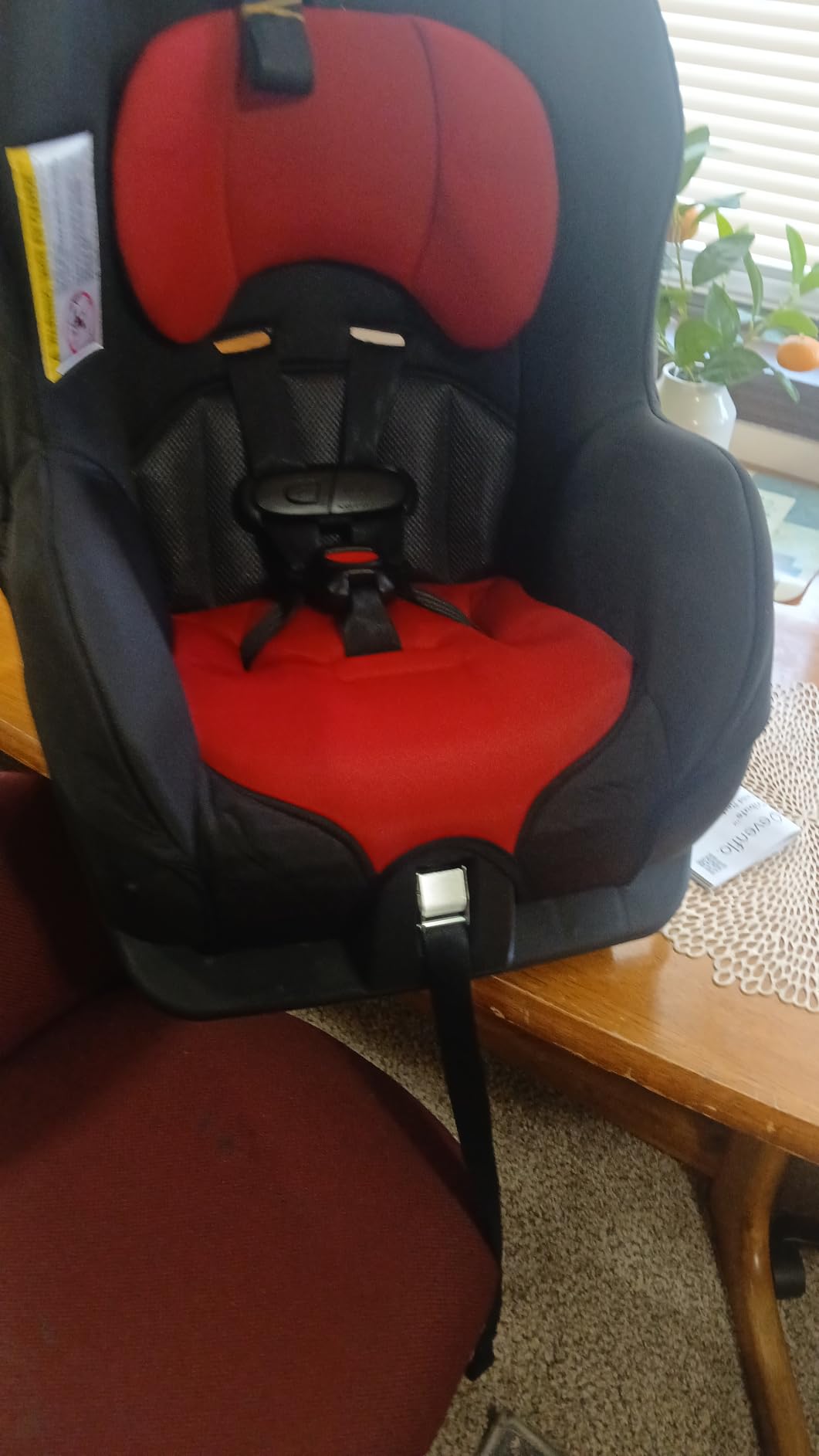 Evenflo Tribute LX Convertible Car Seat (Saturn Gray) customer photo 1
