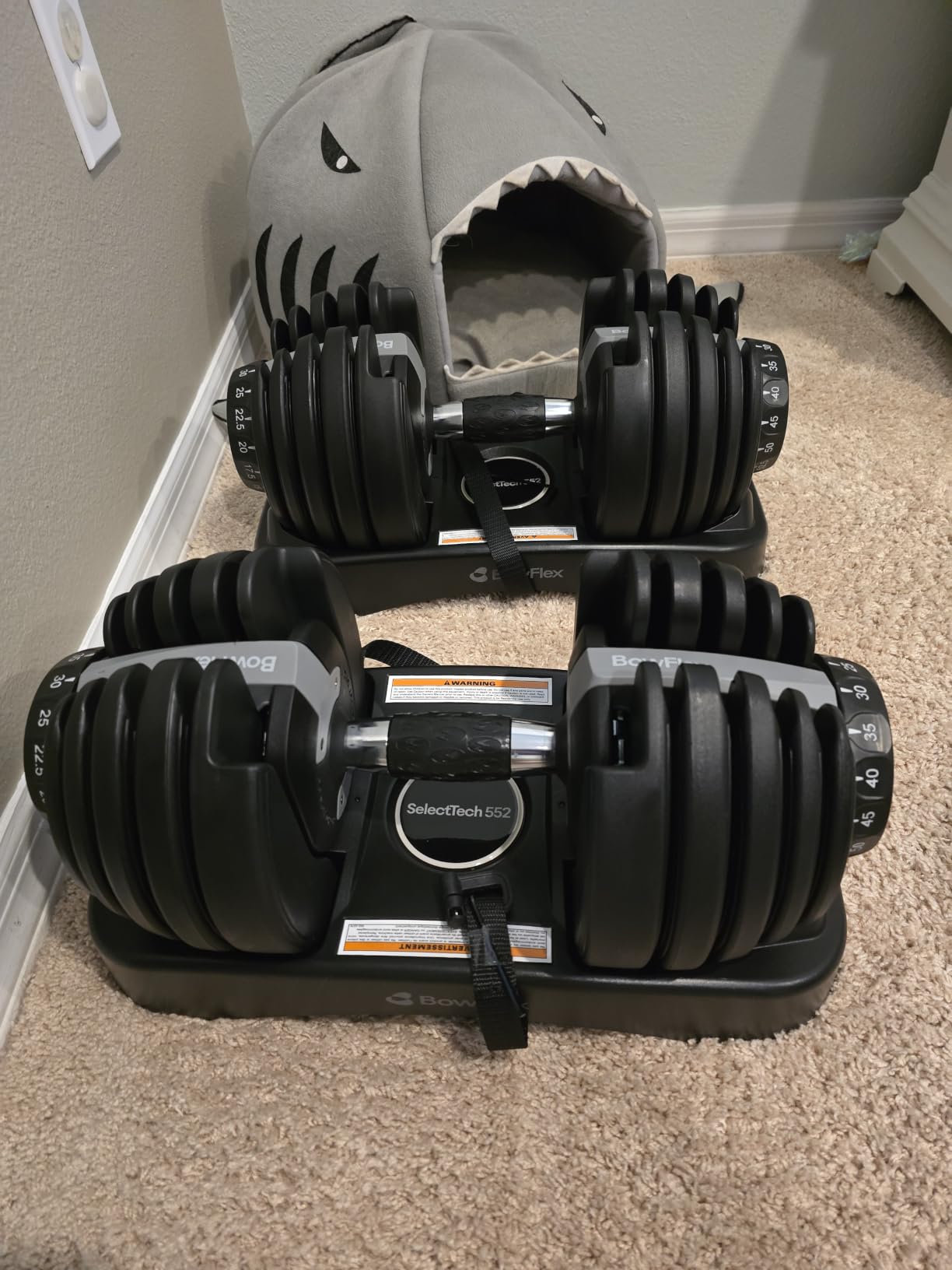 BowFlex Results Series SelectTech Dumbbells customer photo 1