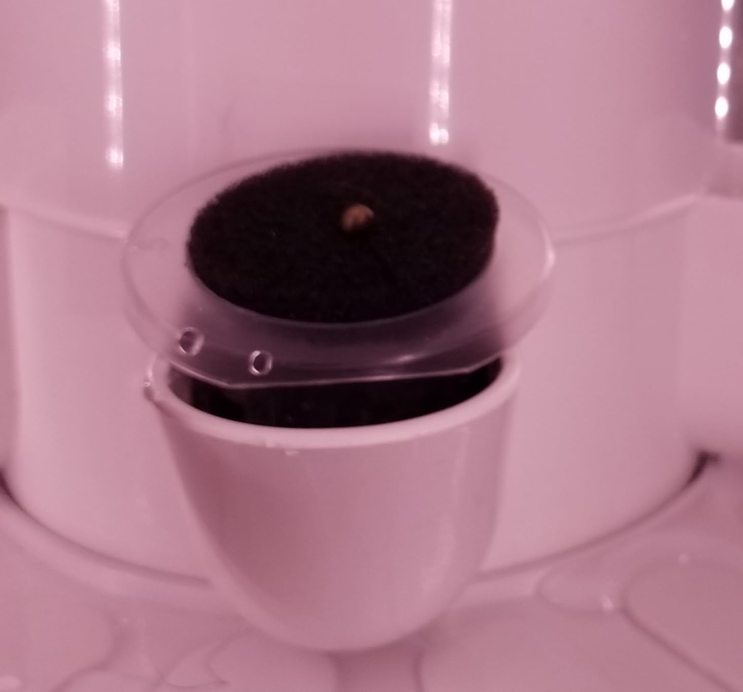 Carpathen Hydroponic Tower Growing System - Indoor Vertical Gardening System with Grow Lights for 30 Plants - Complete Kit with Timer, PH+TDS Meter, and Water Level Gauge - Indoor Herb Garden customer photo 1