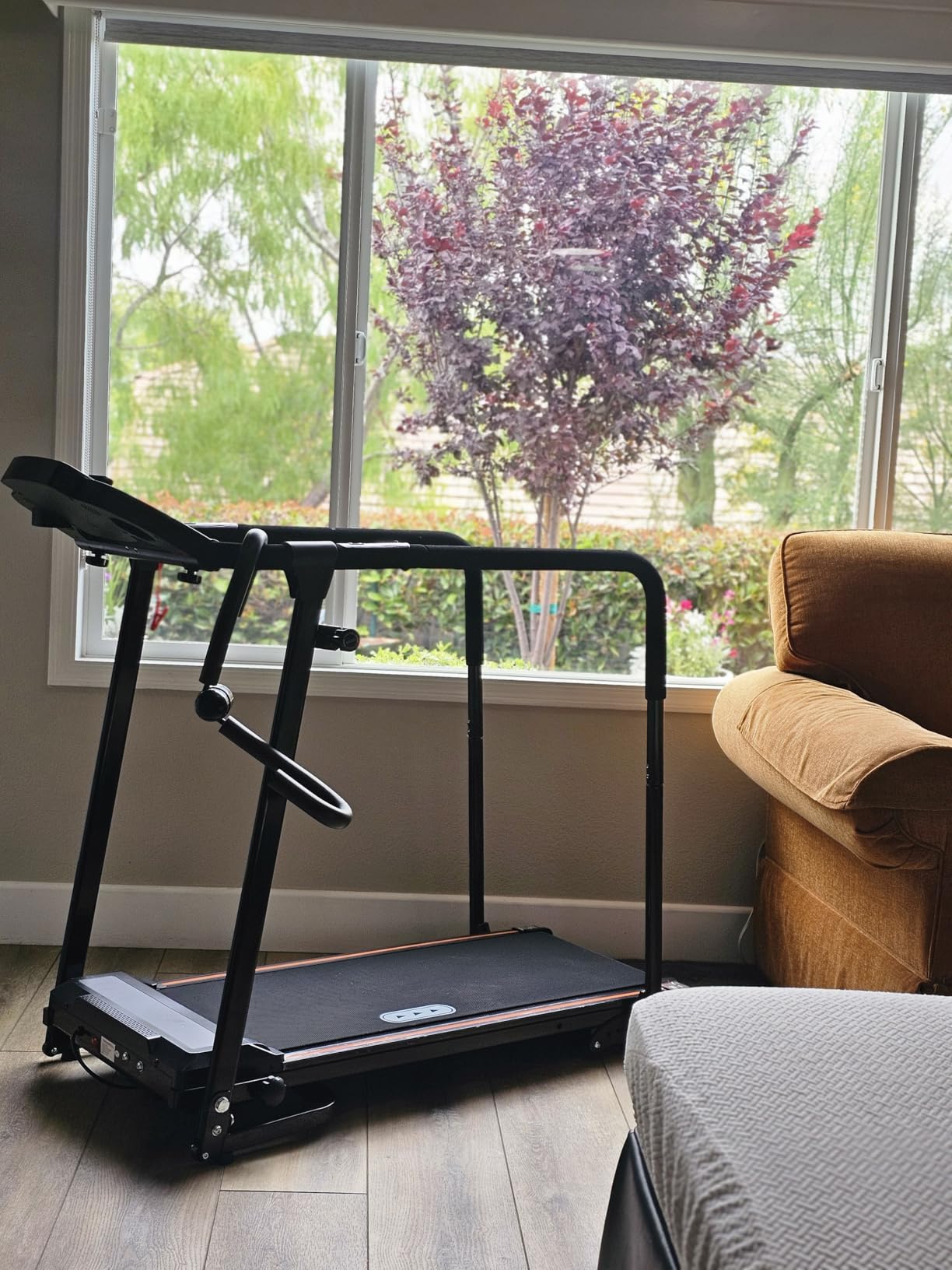 Redliro Treadmill for Seniors with Long Handrails - Walking Treadmill | 0-2% Incline, 300 lbs Capacity, Foldable for Home Small, Auto Lube, Mute & Handrail Button, Elder Recovery, Cup Phone Holder customer photo 1