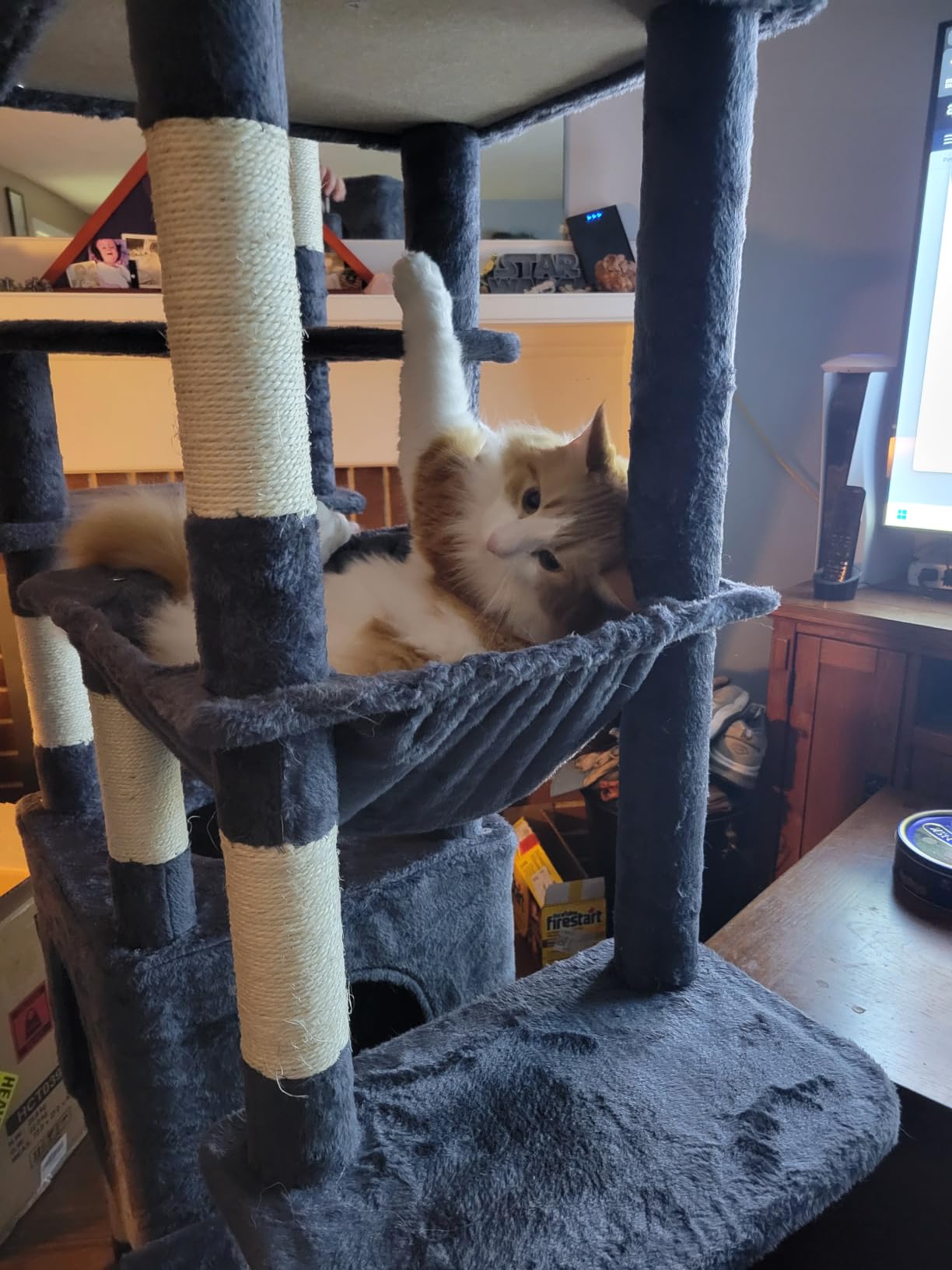 Heybly Cat Tree, 76-Inch Tall Heavy Duty Cat Tower for Big Cats with Extra Wide Baseboard, Multi-Level Large Cat Furniture with 2 Condos & 2 Hammocks, 10 Scratching Posts, Smoky Gray HCT039G customer photo 1