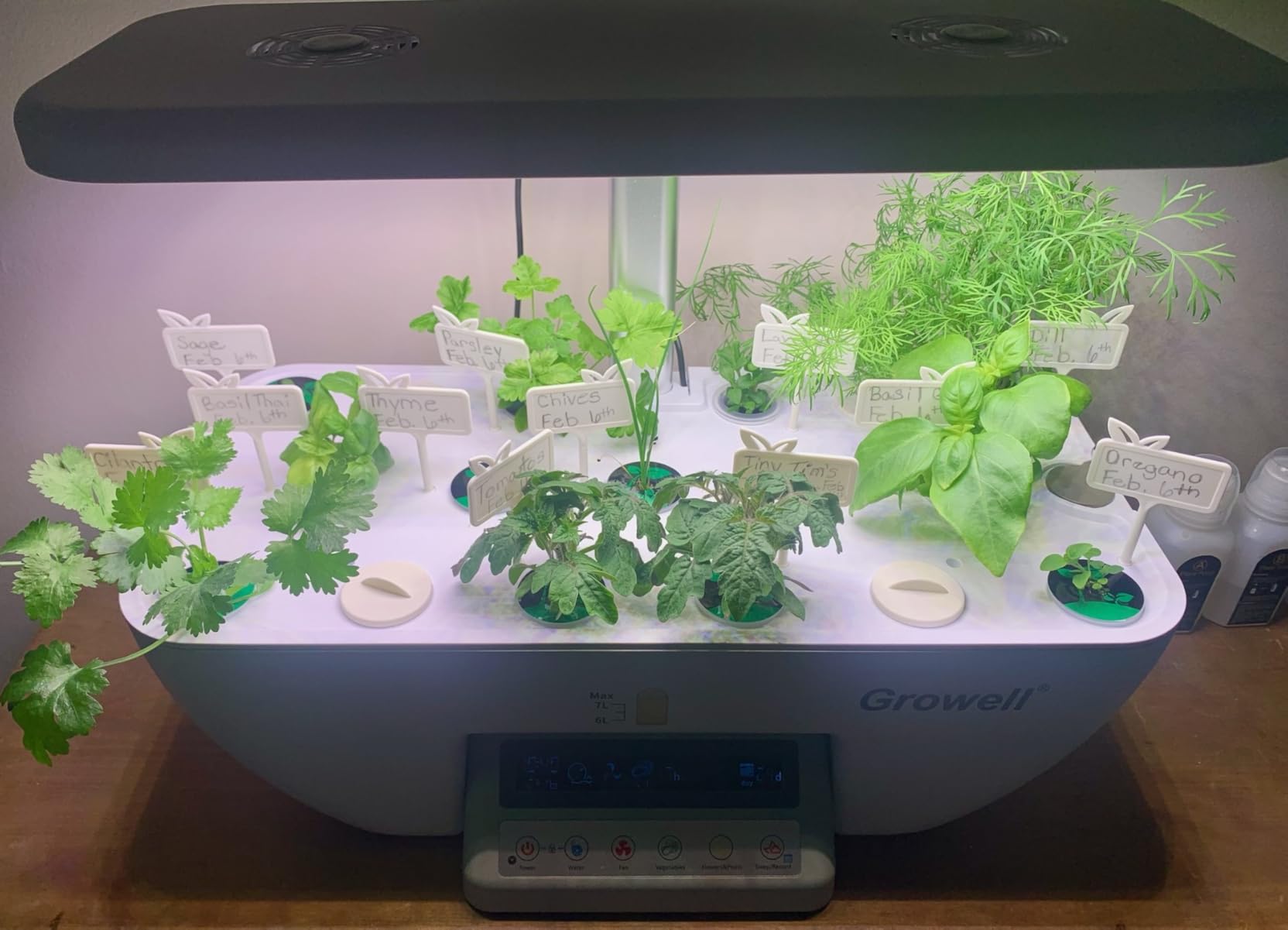 Growell Hydroponics Growing System Kit, 17 Pods Indoor Herb Garden with 2 Fans Circulation, Grow Light, Smart Water Cycle, Auto Timer, 10L Water Tank,Perfect Indoor Gardening System Gifts(Black/White) customer photo 1