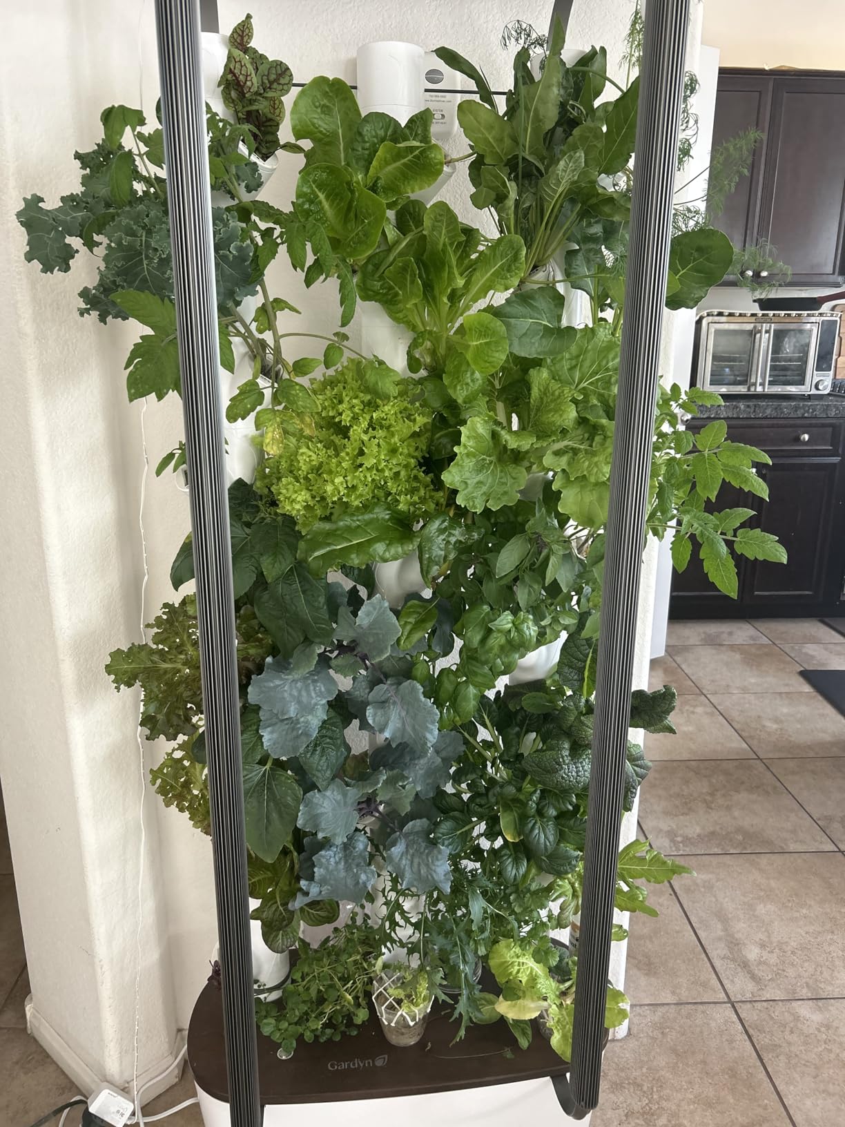 Gardyn Home 4 Vertical Hydroponics Growing System Kit - 30 Plants | Non-GMO plants, herbs, vegetables, smart garden, hydroponic herb garden planter indoor kit with LED grow lights customer photo 2