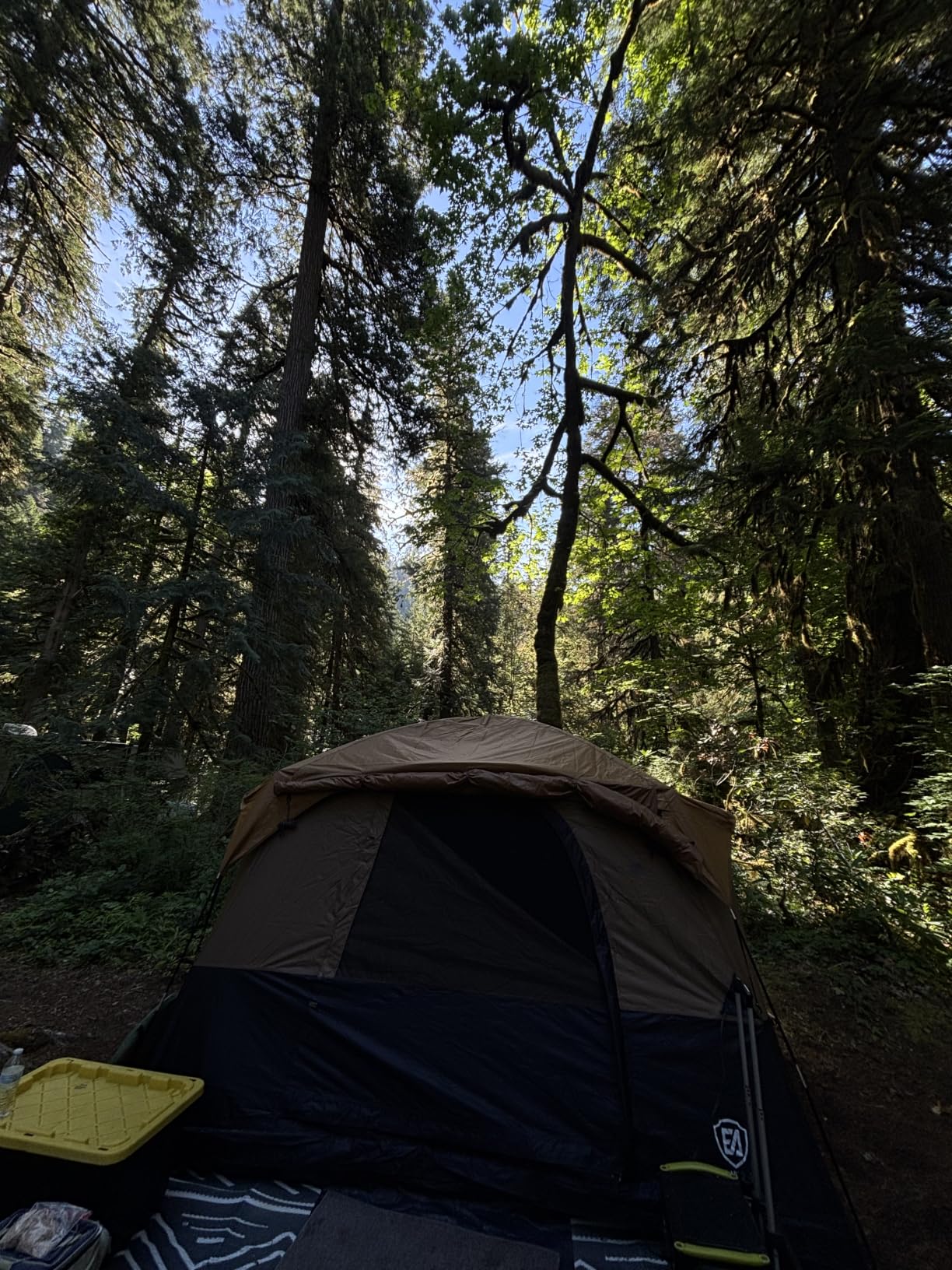 EVER ADVANCED Blackout Design 6 Person Camping Tent with 80 sq.ft Massive Vestibule, Large Mesh Screen Room, 81in Tall Expanded Headroom, Blackout Coating, 4000mm Water-Resistant Compact Orange customer photo 1