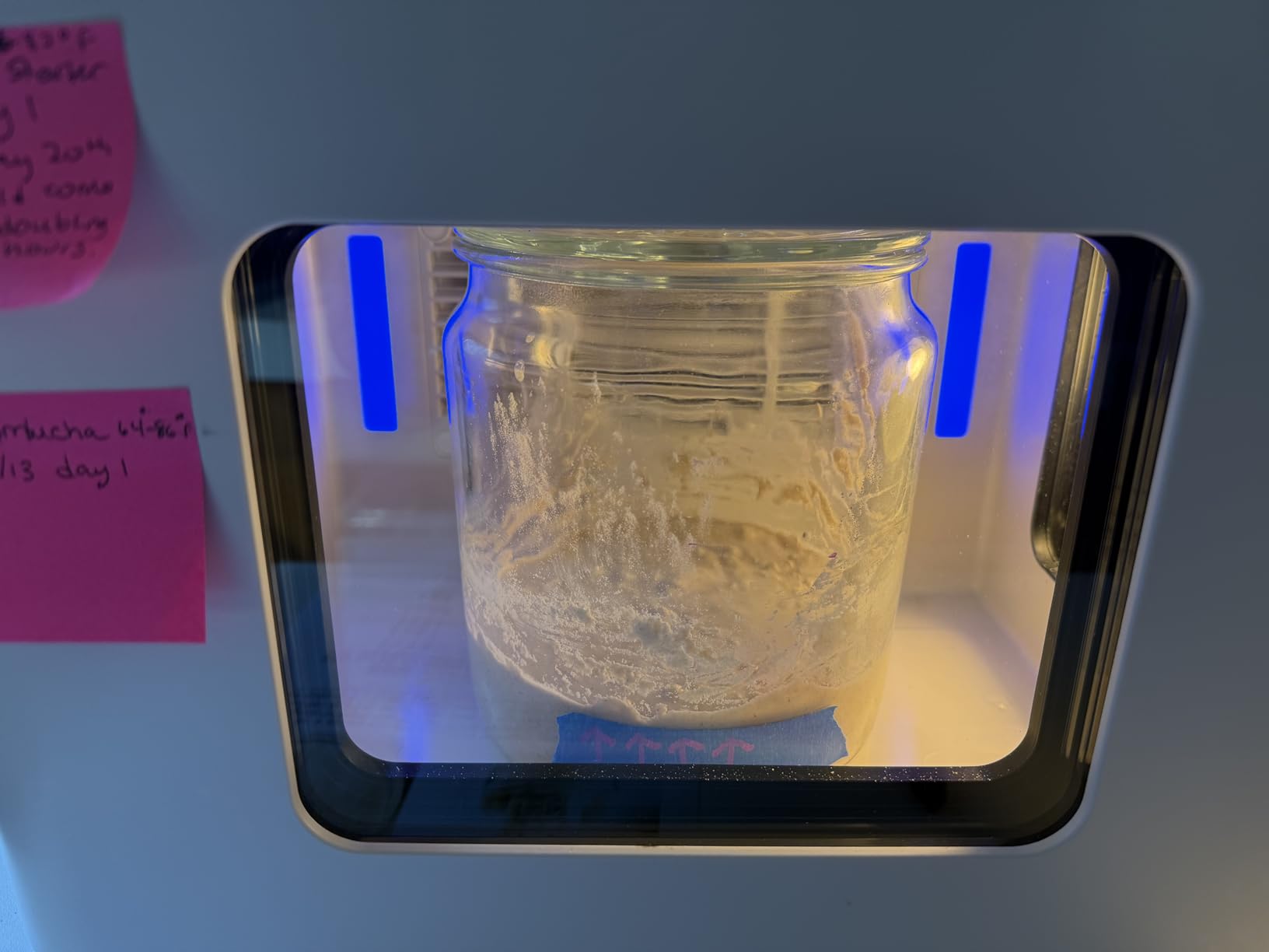 12.8L Smart Yogurt Maker Machine & Fermentation Kit, Kombucha, Kimchi, Natto, Tempeh, Sourdough Maker, Temp Control 50-115°F, Timer 1 Hr -30 Day, Post-Ferment Cooling customer photo 1