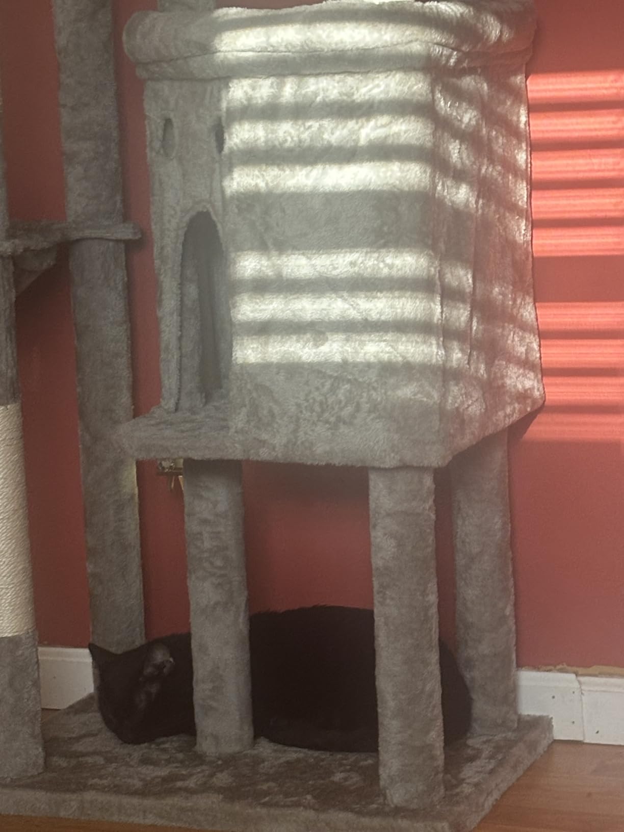 Cat Tree for Indoor Cats Large Adult, 84 in Extra Tall Heavy Duty Cat Tower | Multi-Level for Maine Coon 20lb+ Big Cats House with 3 Platform Perches, 2 Baskets, 2 Cat Condos, 5 Scratching Posts, 4 Toys customer photo 1
