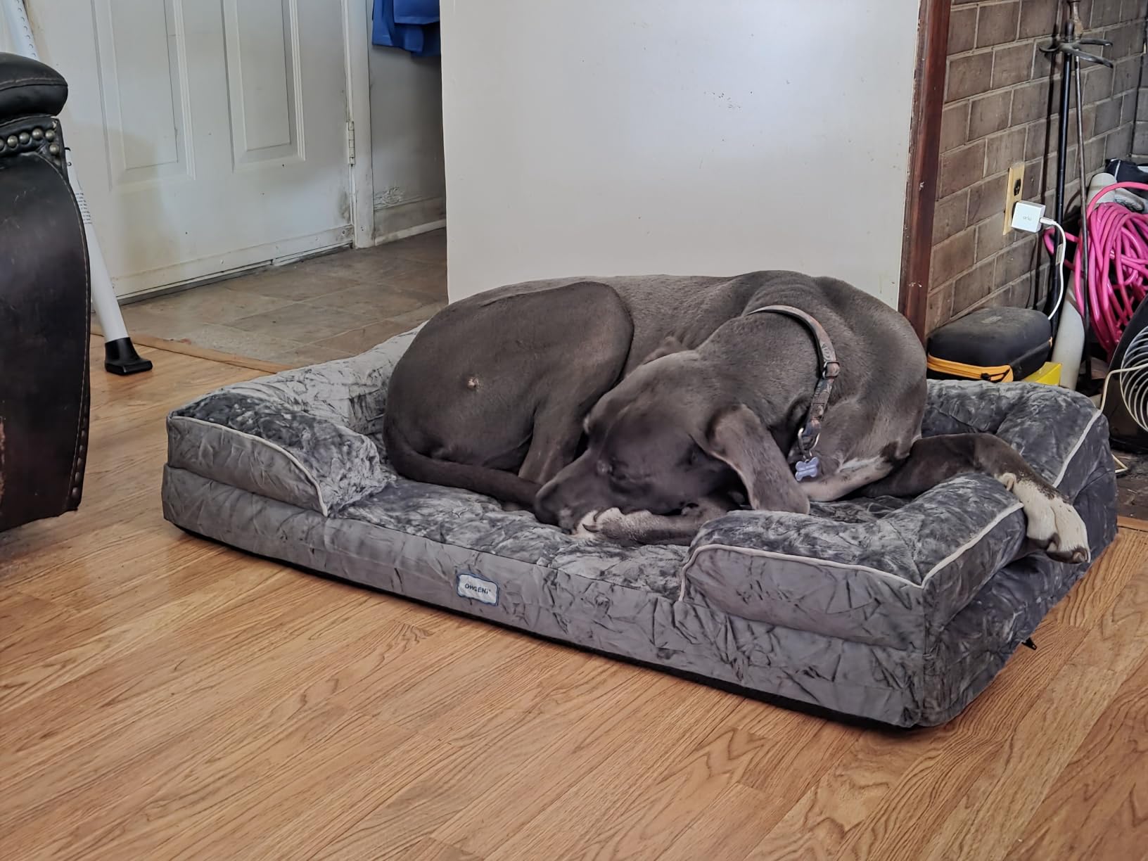 OhGeni Orthopedic Extra Large Dog Bed Couch, Memory Foam, 44-inch (Gray) | Waterproof Pet Bed with Machine-Washable Removable Cover & Soft Comfortable Fabric customer photo 2