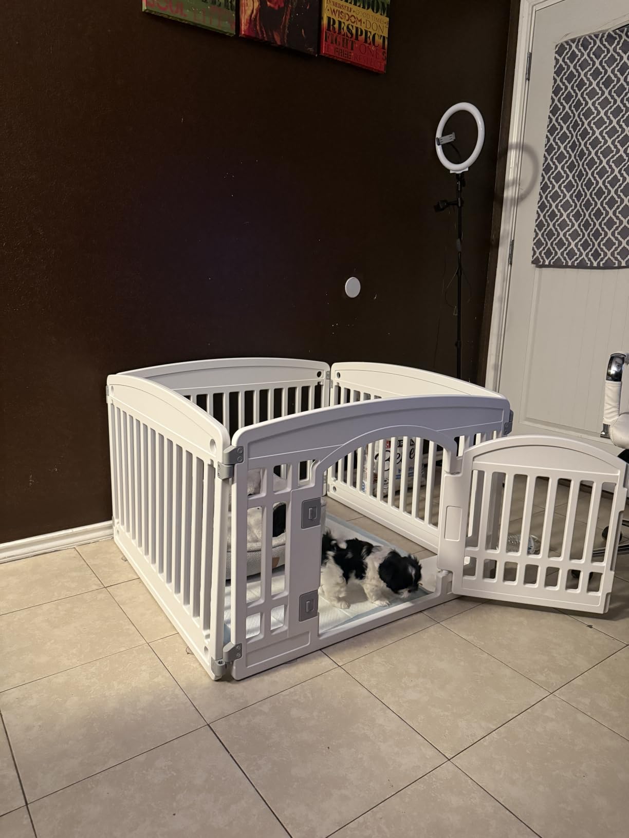 NEWBULIG Dog Playpen 4-Panel, 24IN Puppy Playpen, Stable Dog Play Pen Indoors/Outdoor with Secure Locking Door, Plastic Pet Fence for Small & Medium Dogs customer photo 2
