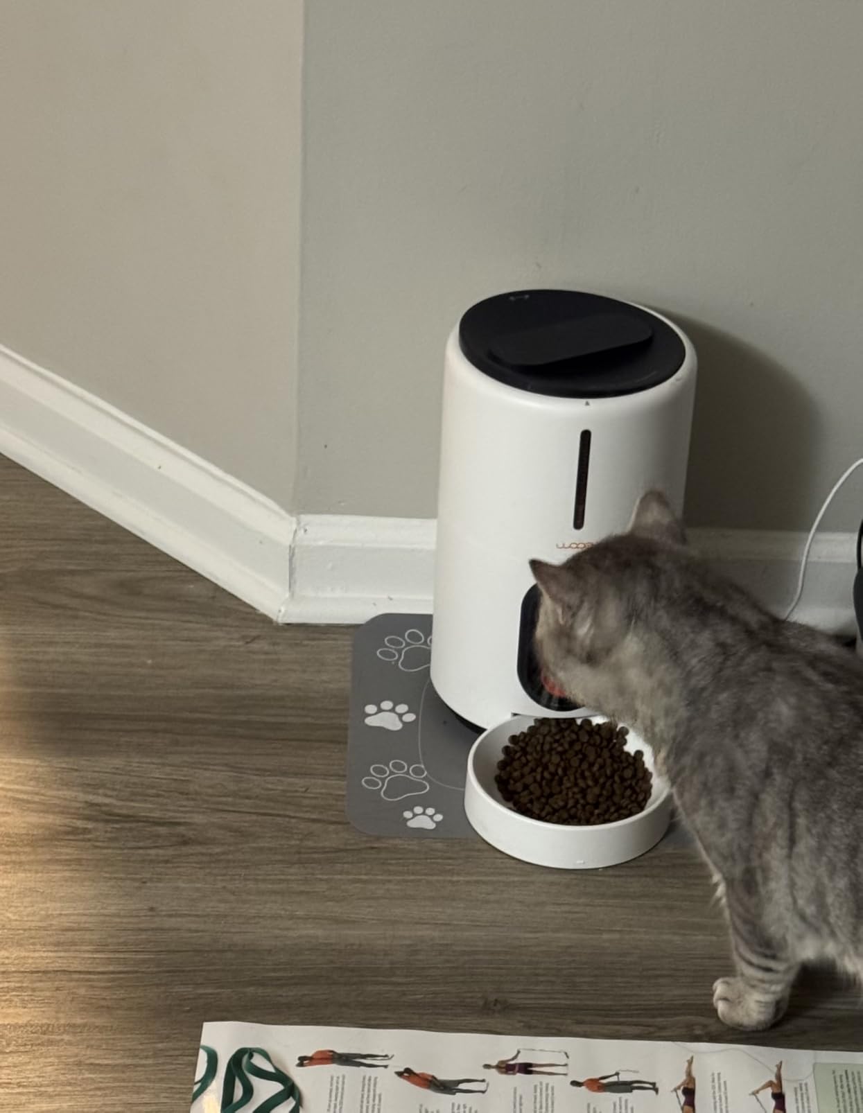 WOPET Automatic Dog Feeder with Camera, 1080P HD Video with Night Vision, 5GHz/2.4GHz Dog Food Dispenser with App Control, 4GB SD Card, 2-Way Audio for Cats & Dogs customer photo 2