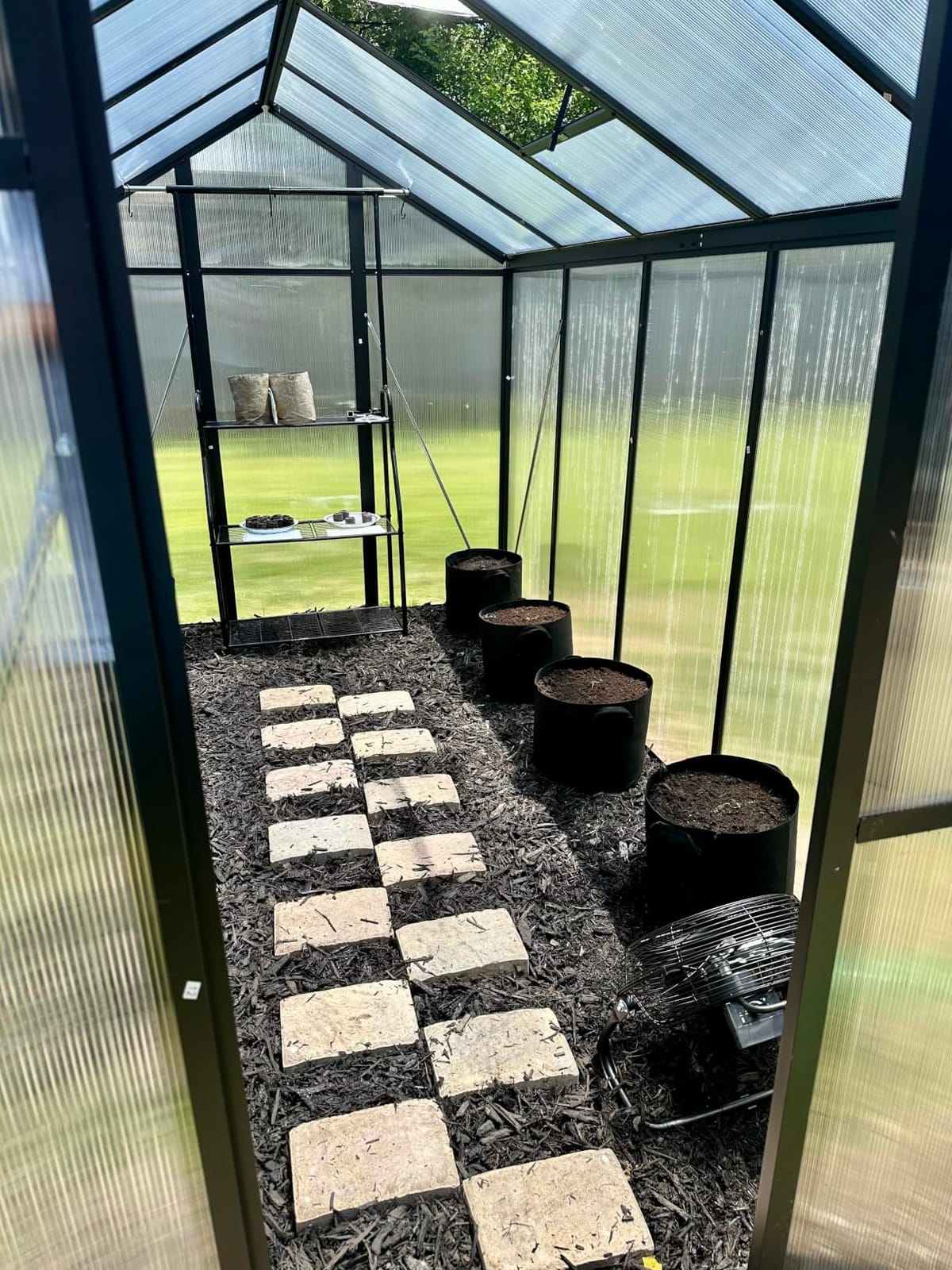6x10 FT Greenhouse, Easy Assembly Aluminum Polycarbonate Greenhouses for Outdoors with Roof Vent, Large Aluminum Walk-in Greenhouse for Sunroom Patio, Backyard, Garden, Sliding Lockable Door, Black customer photo 1