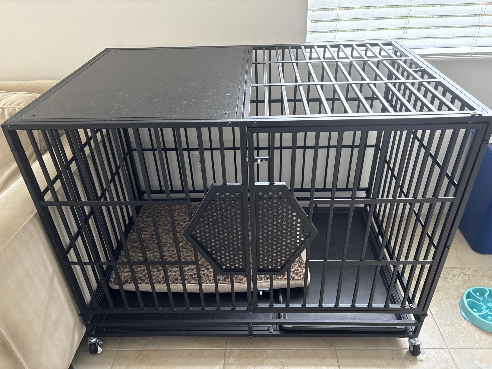 CAMMOO 48'' Heavy Duty Dog Crates for Large Dogs - Escape-Proof Dual Top Fences, Reinforced Square Tube Frame, Dog Kennel Indoor, Easy-Clean Split Floor, Extra-Wide Door, Dog Cage for High Anxiety Dog customer photo 1