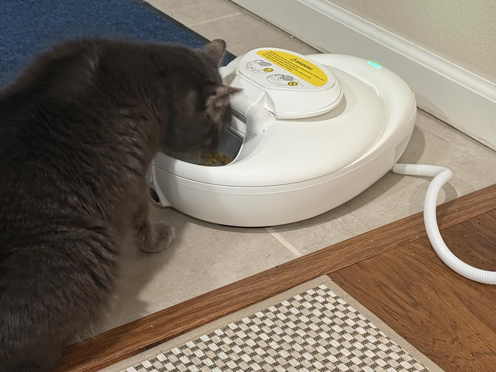 Robotail Automatic Cat Feeder for Wet Food - Fresh for 4 Days, Smart Dual-Temp Semiconductor Cooling & Heating Auto Cat Feeder with Multi-Function App, 4 Fresh Meal for Cats Small Dog Easy to Clean customer photo 2